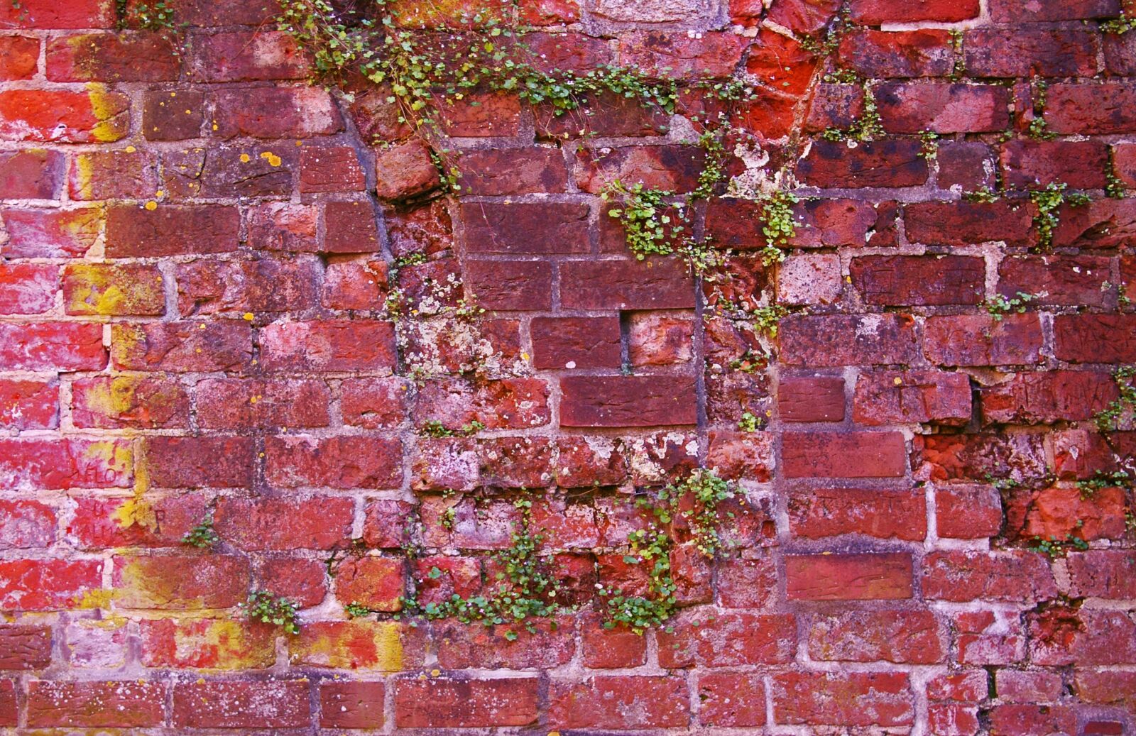 Pentax *ist DL2 sample photo. Wall, stone wall, city photography
