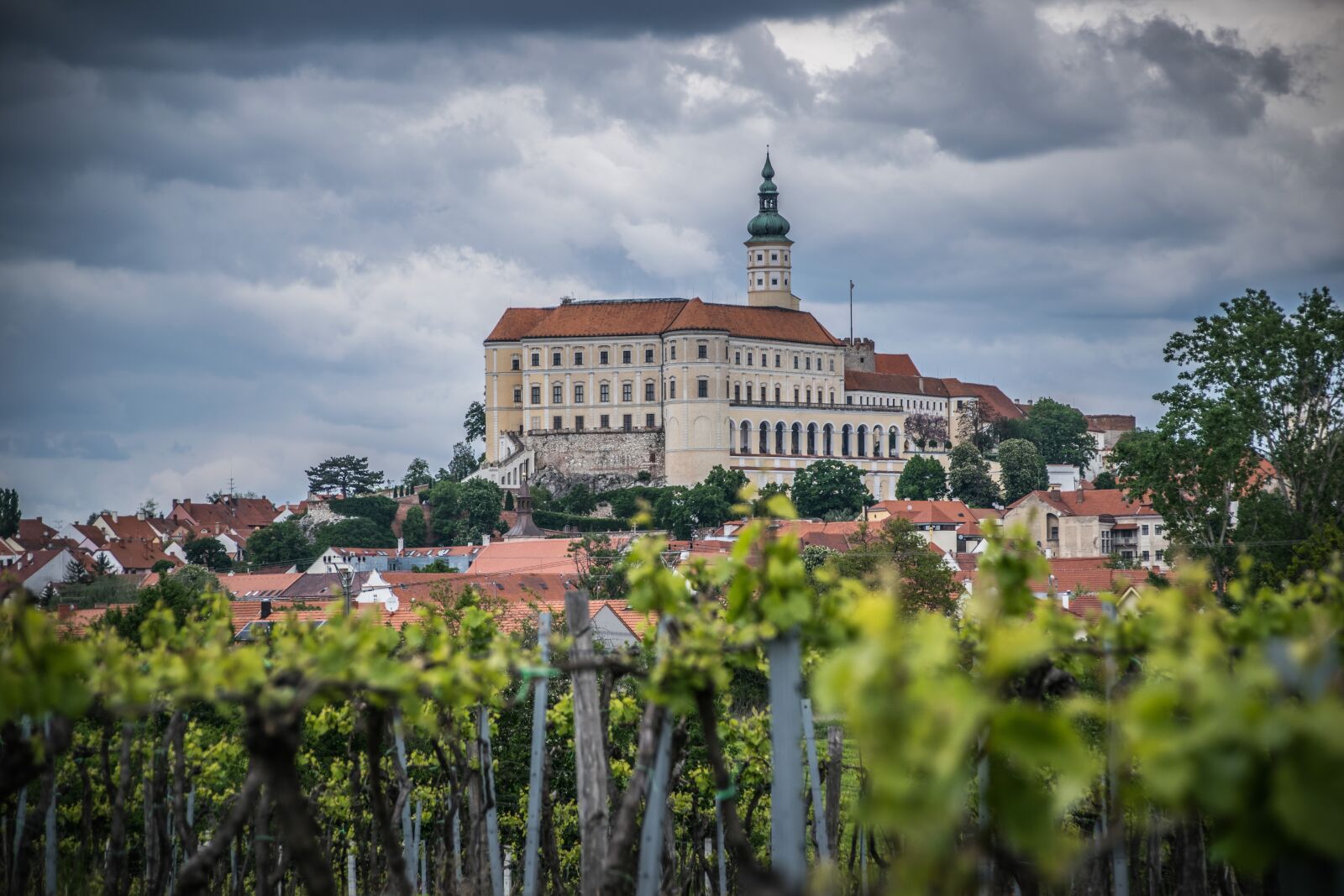 Nikon D5300 sample photo. Vineyard, castle, viticulture photography