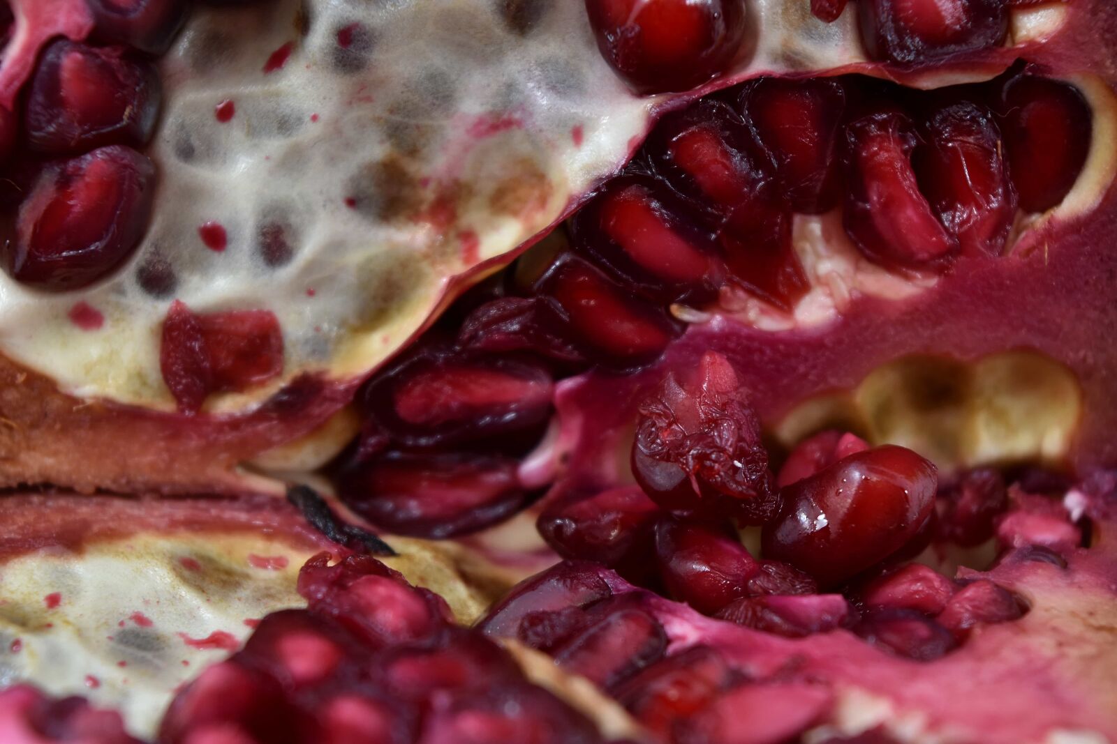Nikon D5500 sample photo. Kernel, macro, pomegranate, seed photography
