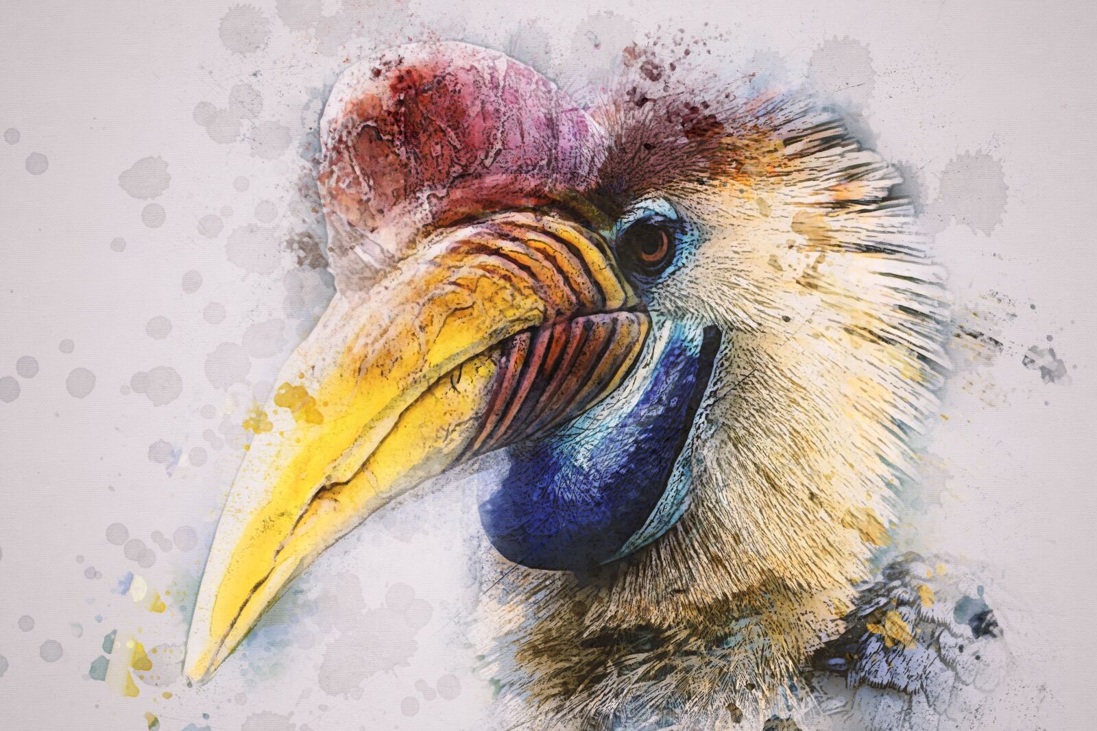 Canon EOS 60D sample photo. Animal, bird, hornbill photography