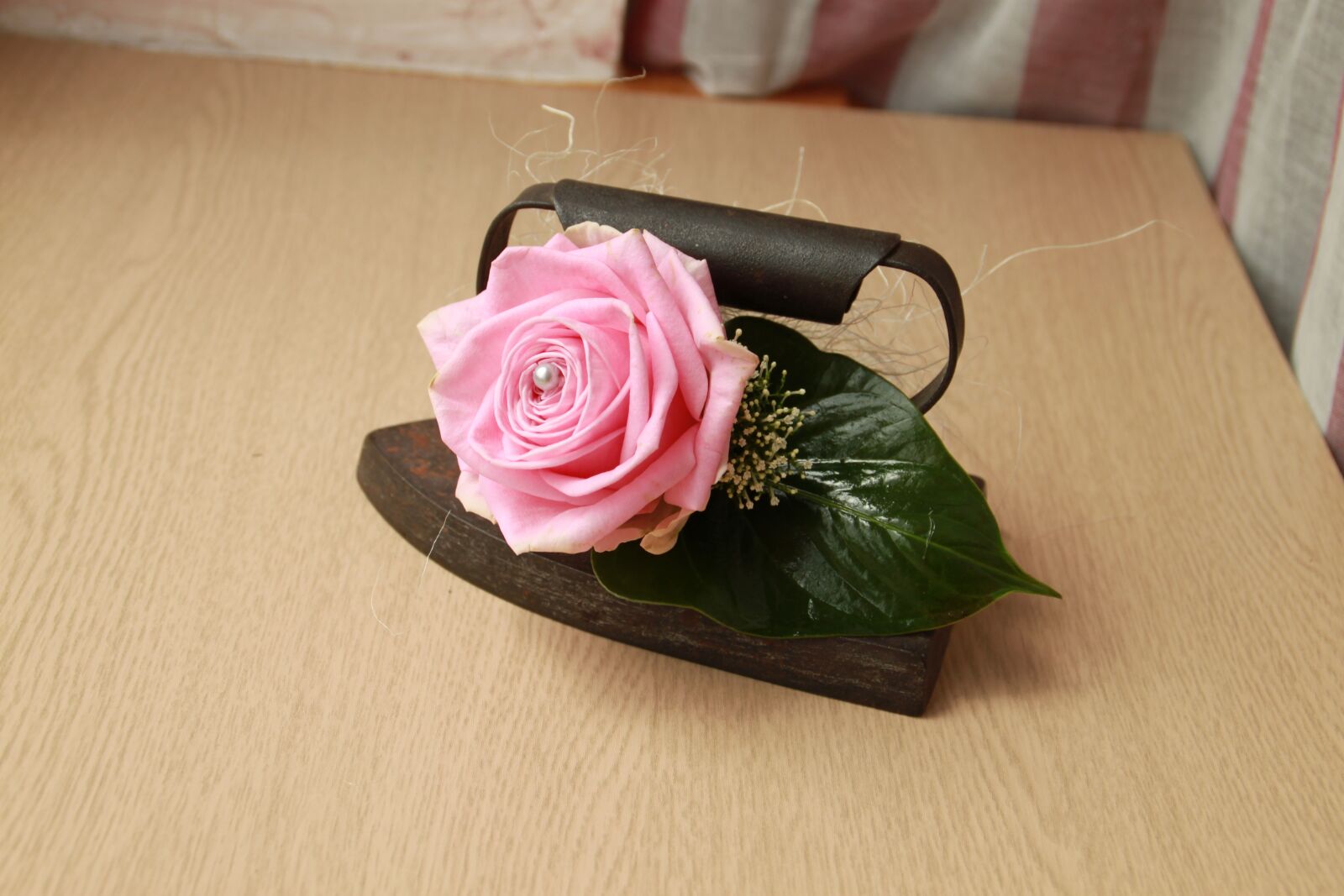 Canon EOS 500D (EOS Rebel T1i / EOS Kiss X3) sample photo. Iron, vintage, pink photography