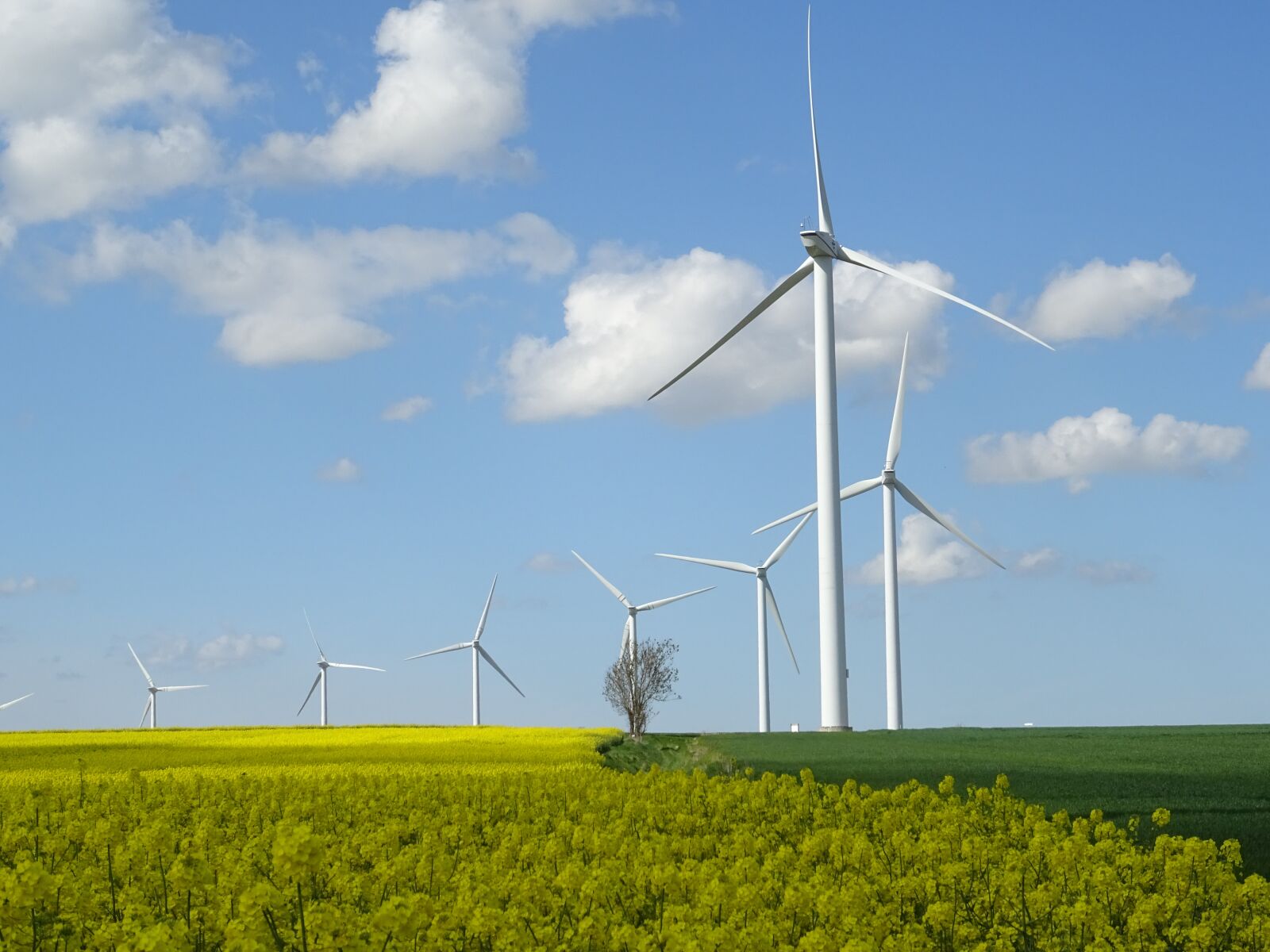Sony DSC-HX60 sample photo. Wind turbines, fields rapeseed photography