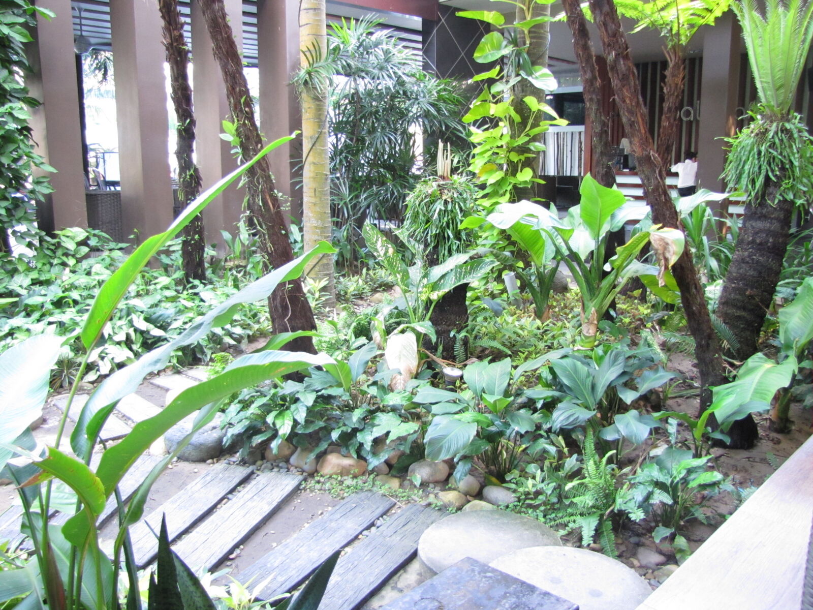 Canon PowerShot SX20 IS sample photo. Geen photography