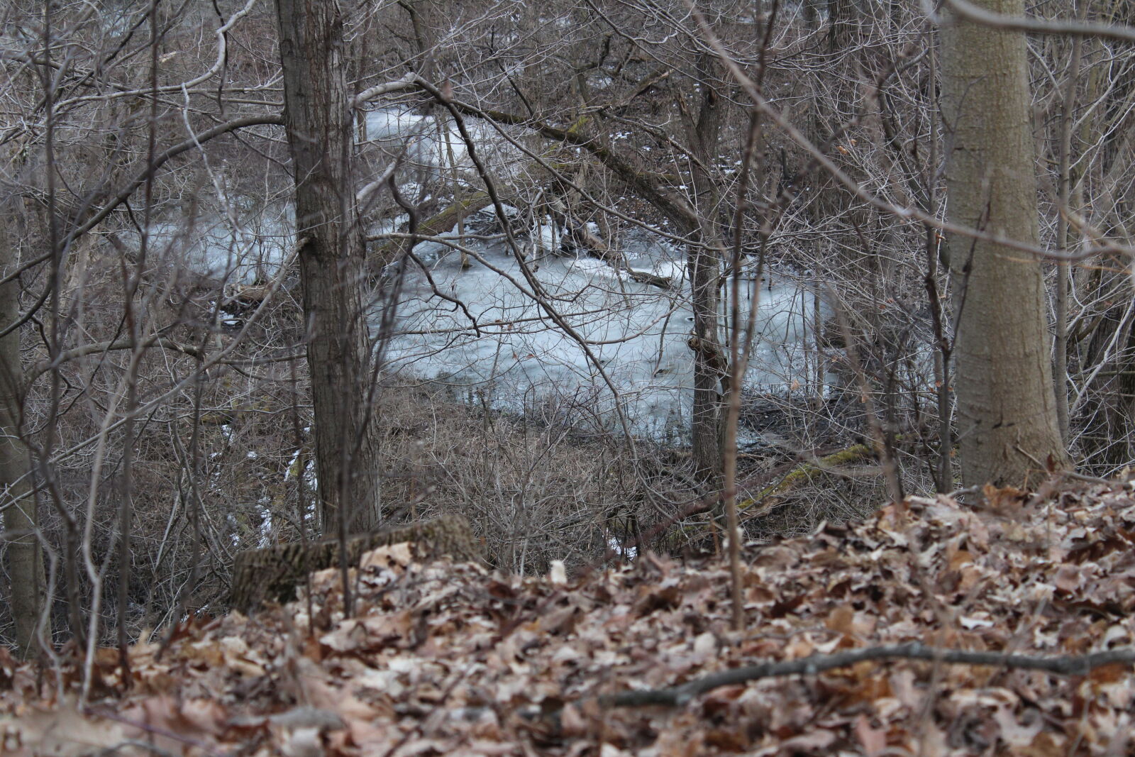 Nuovo Schermo LCD Finestra Di Visualizzazione (Acrilico - Foto 9