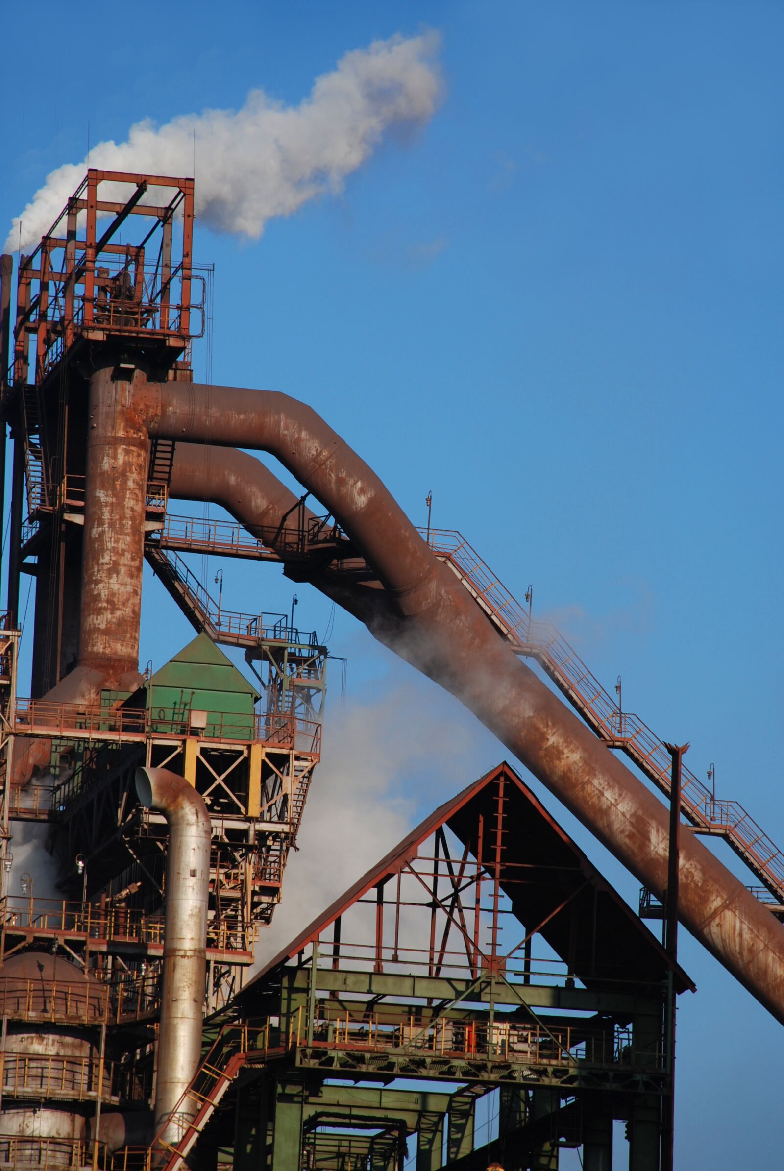 Nikon D80 sample photo. Plant, old, pipe photography