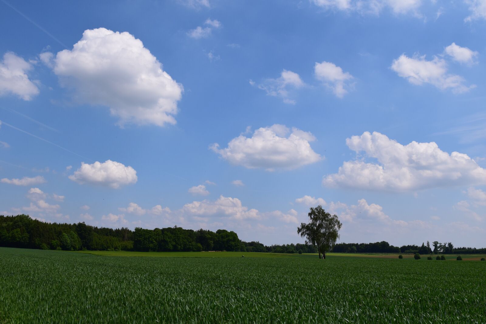 Nikon D3300 sample photo. Background, sky, clouds photography