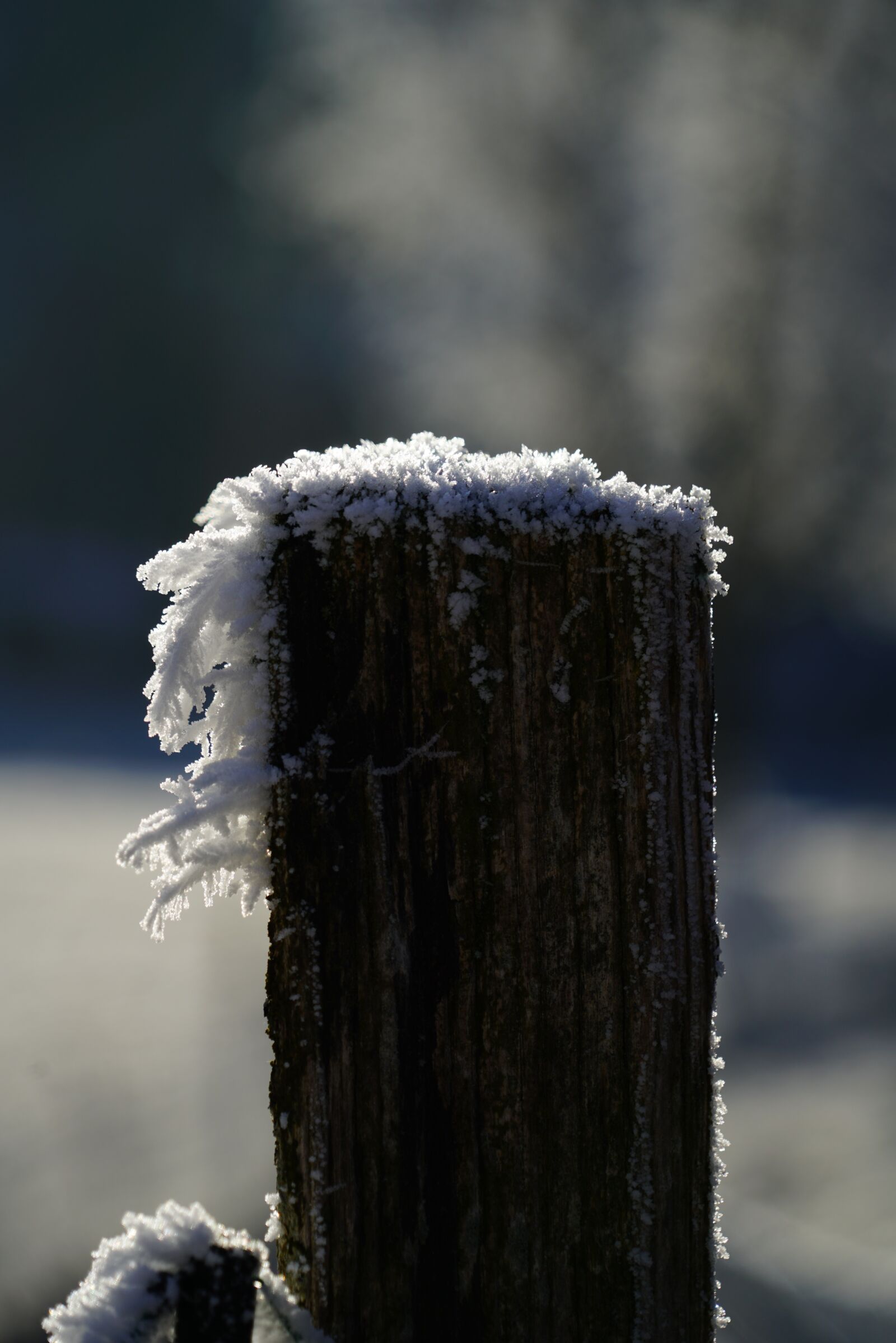 Sony a7R II + Sony FE 24-240mm F3.5-6.3 OSS sample photo. Post, hoarfrost, snow crystals photography