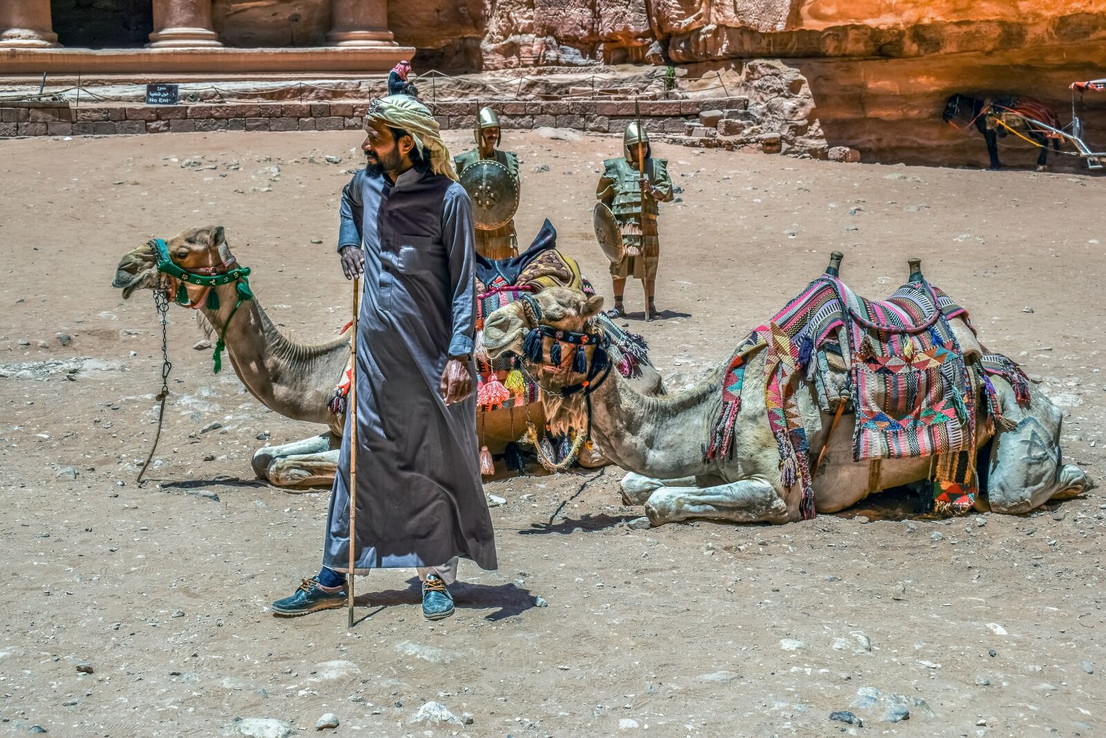 Nikon D3300 sample photo. Camels, camelliers, al siq photography