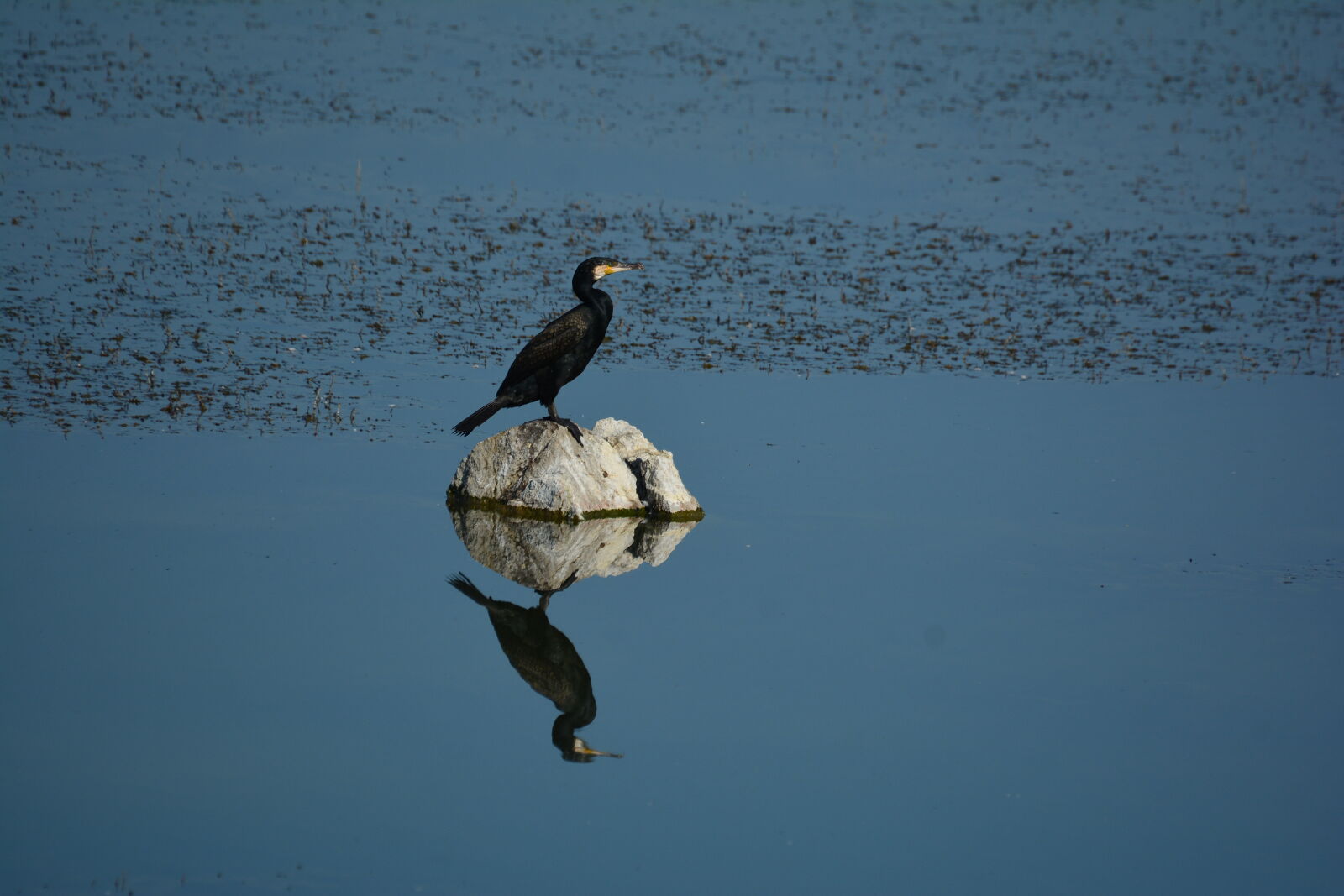 Nikon D7100 sample photo