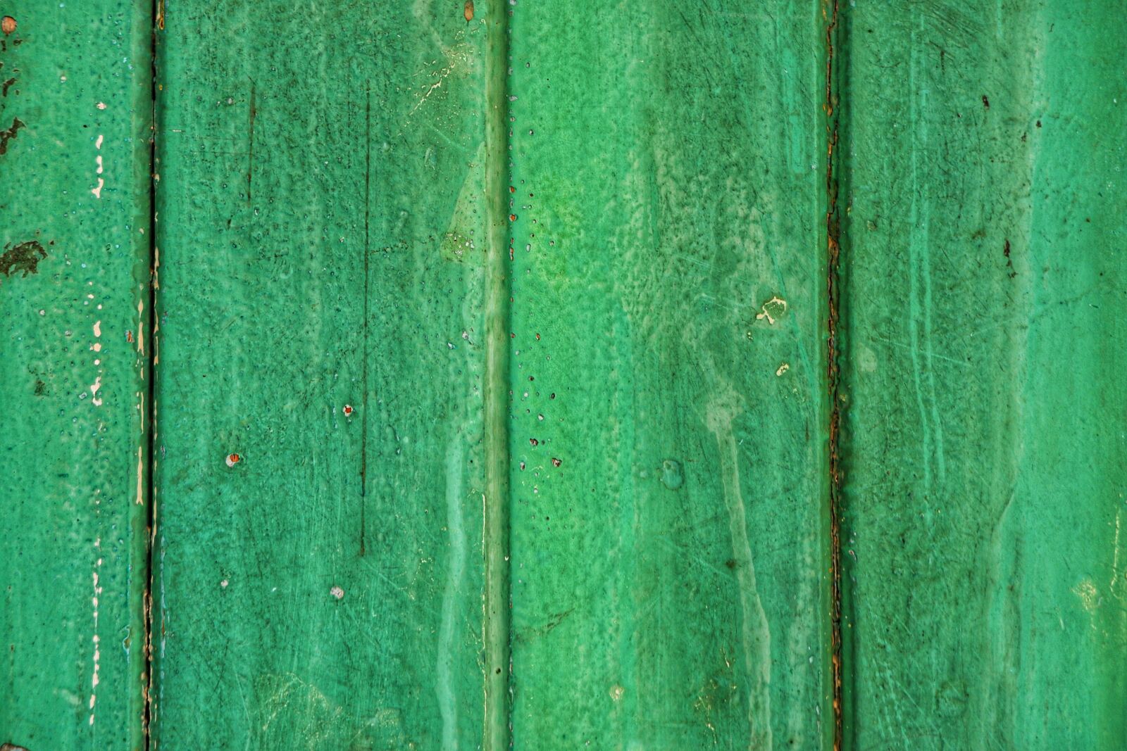 Fujifilm X-T100 sample photo. Green, wood, wooden photography