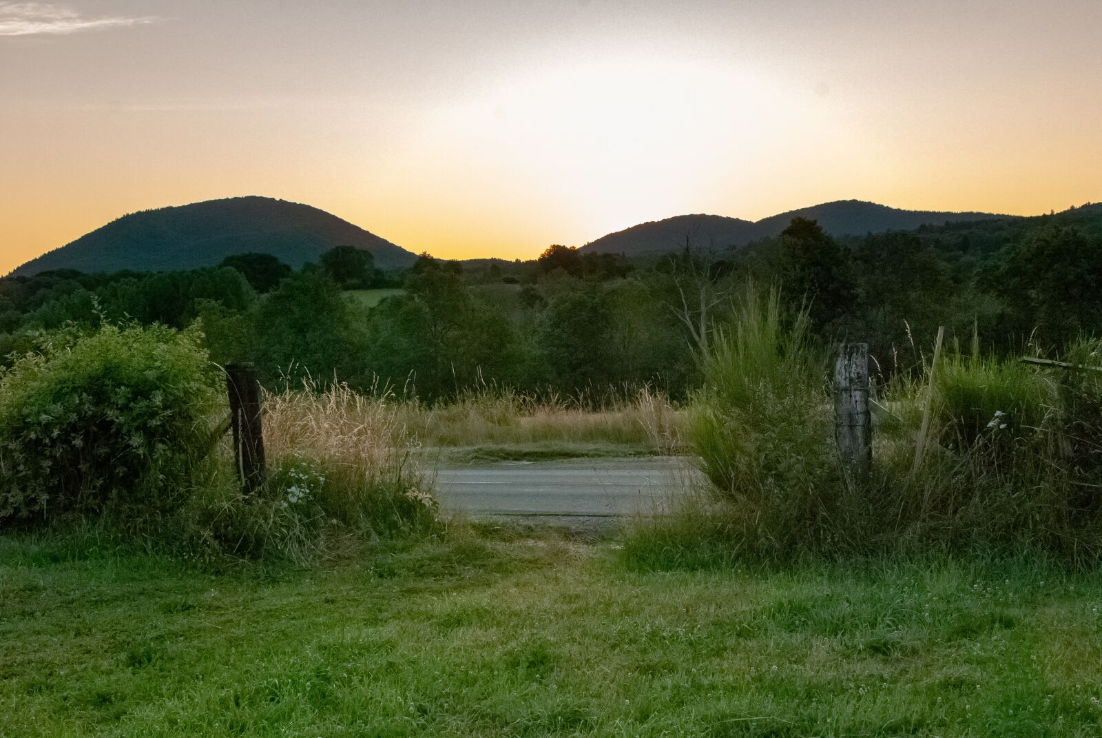 Nikon D80 sample photo. Landscape, field, hills photography