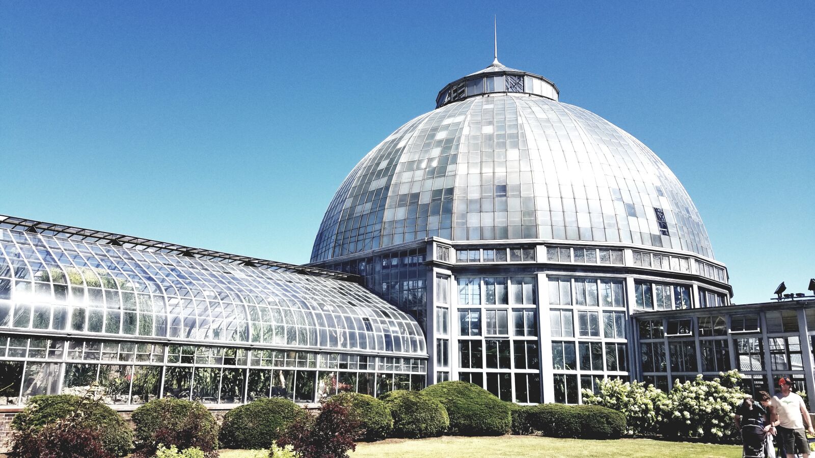 Samsung Galaxy S8+ sample photo. Greenhouse, glasshouse, plants photography