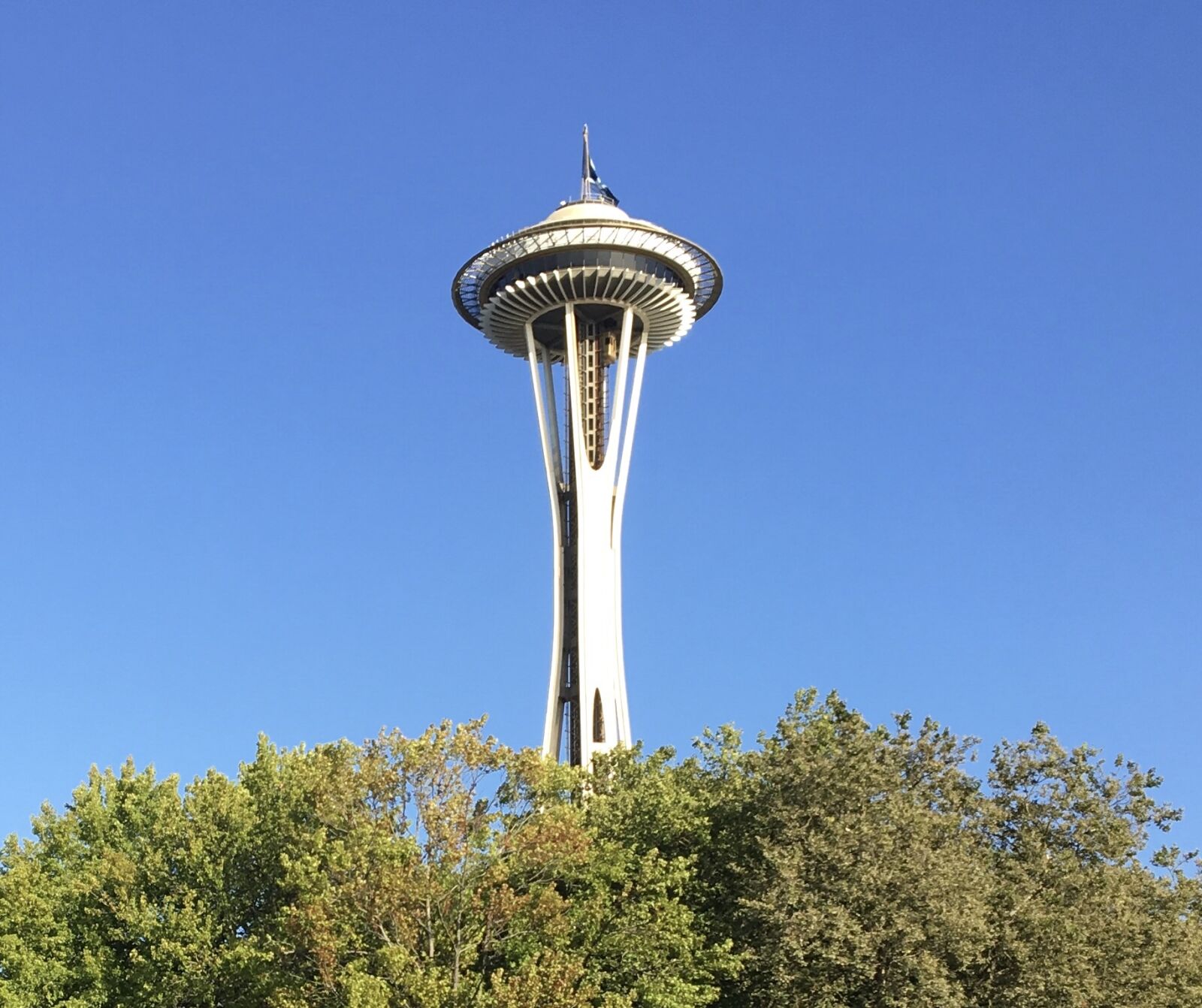 iPad Pro back camera 4.15mm f/2.2 sample photo. Seattle, seattle, space, needle photography