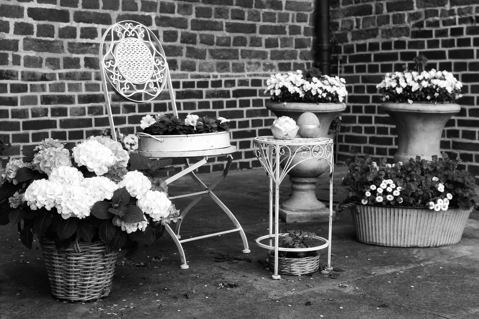 Canon EOS 1300D (EOS Rebel T6 / EOS Kiss X80) sample photo. Hydrangeas, seating area, chair photography