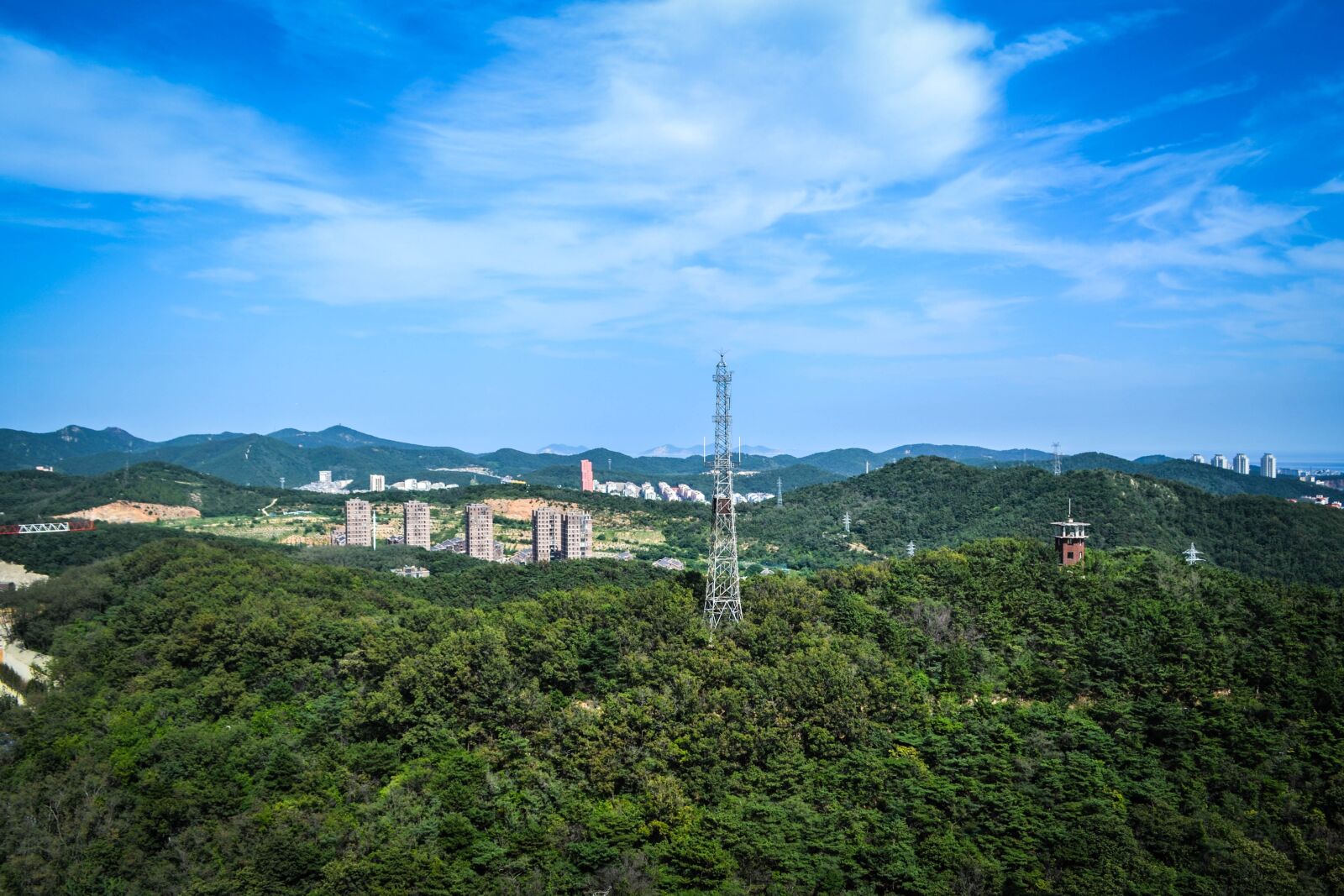 Nikon D3100 sample photo. Dalian, china, a bird's photography