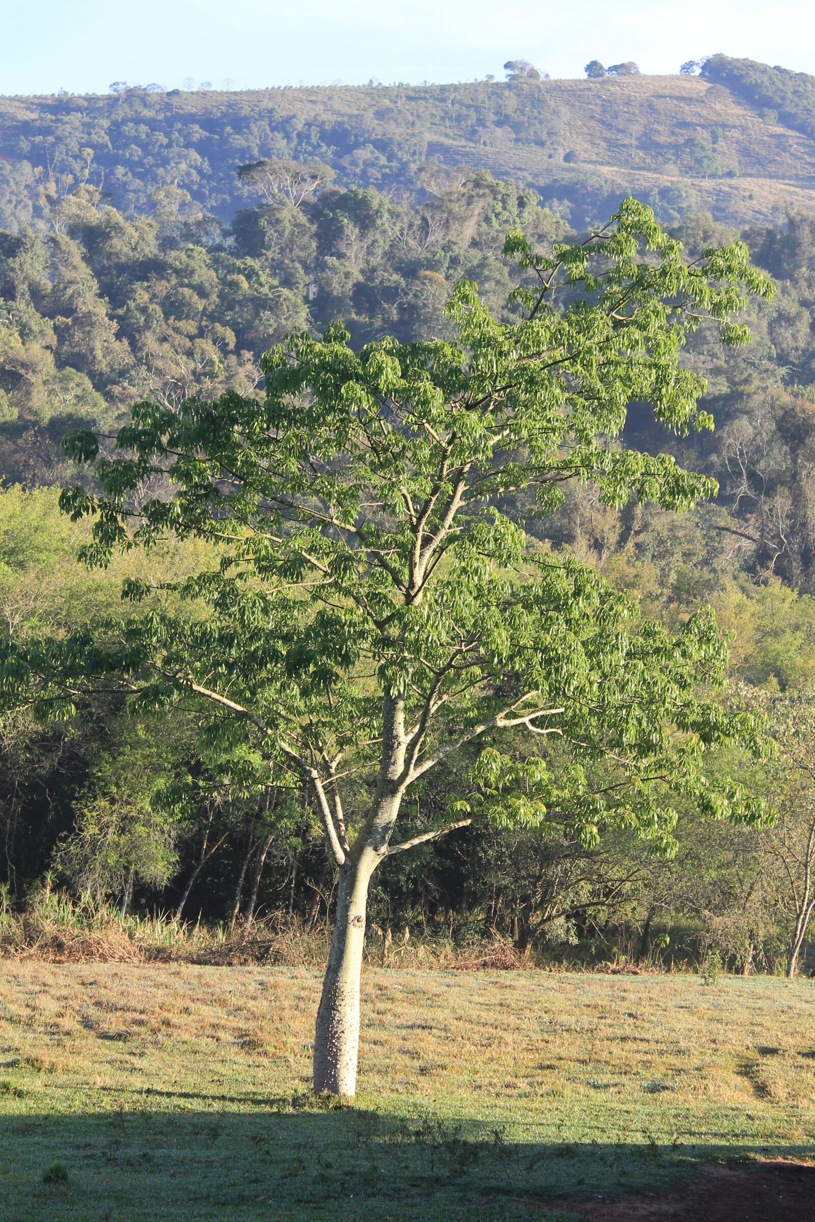 Canon EOS 1100D (EOS Rebel T3 / EOS Kiss X50) sample photo. Landscape, mountain, nature photography