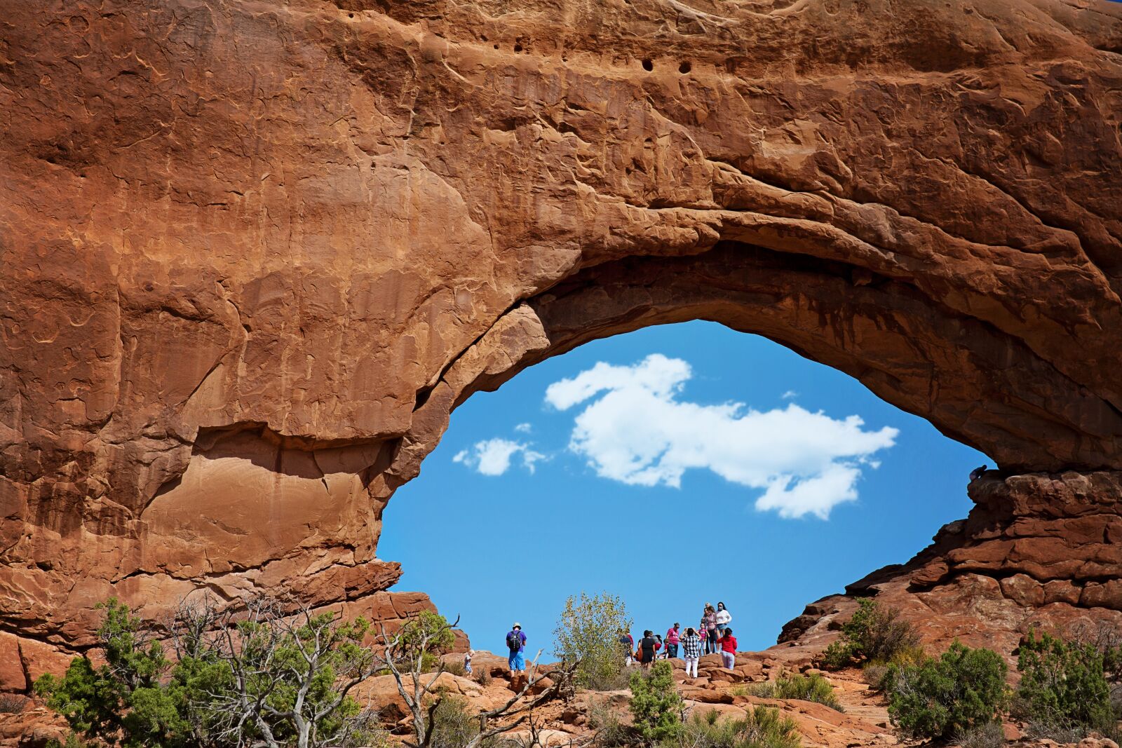 Canon EF 24-70mm F2.8L II USM sample photo. Moab, utah, red rocks photography