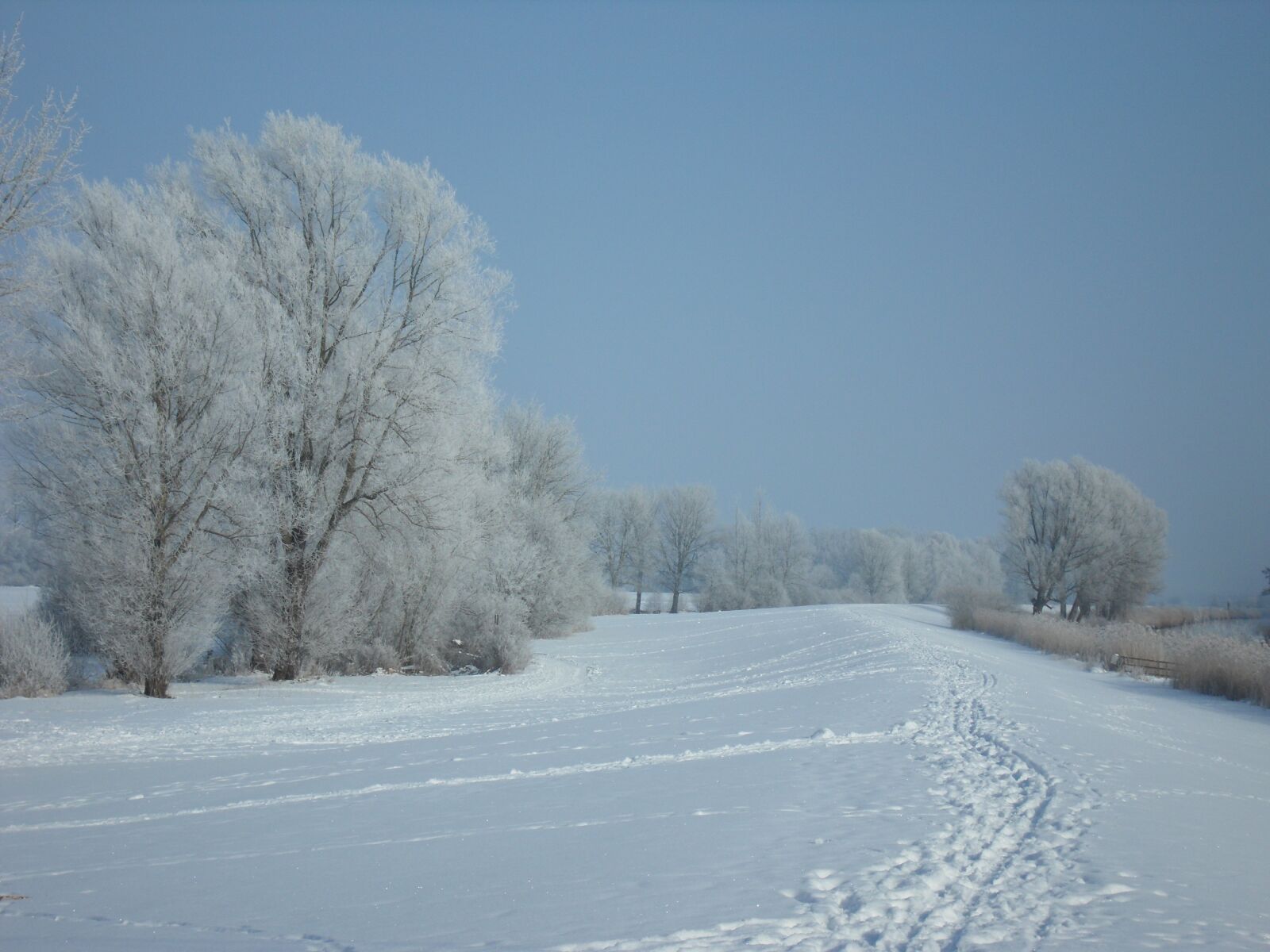 Samsung ST550 /  ST560 / VLUU ST550 /  TL225 sample photo. Dike, snow, winter photography