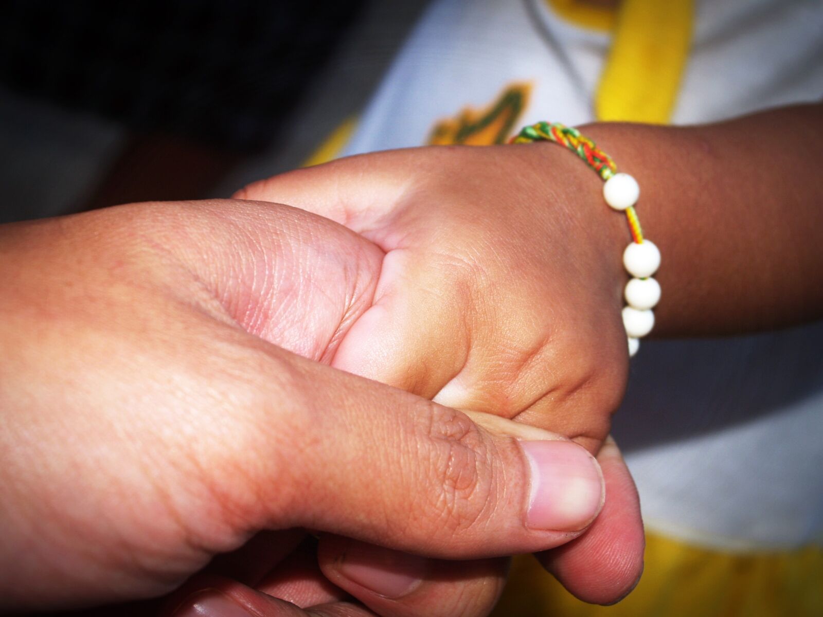 Olympus E-300 (EVOLT E-300) sample photo. Hand, hold, care photography