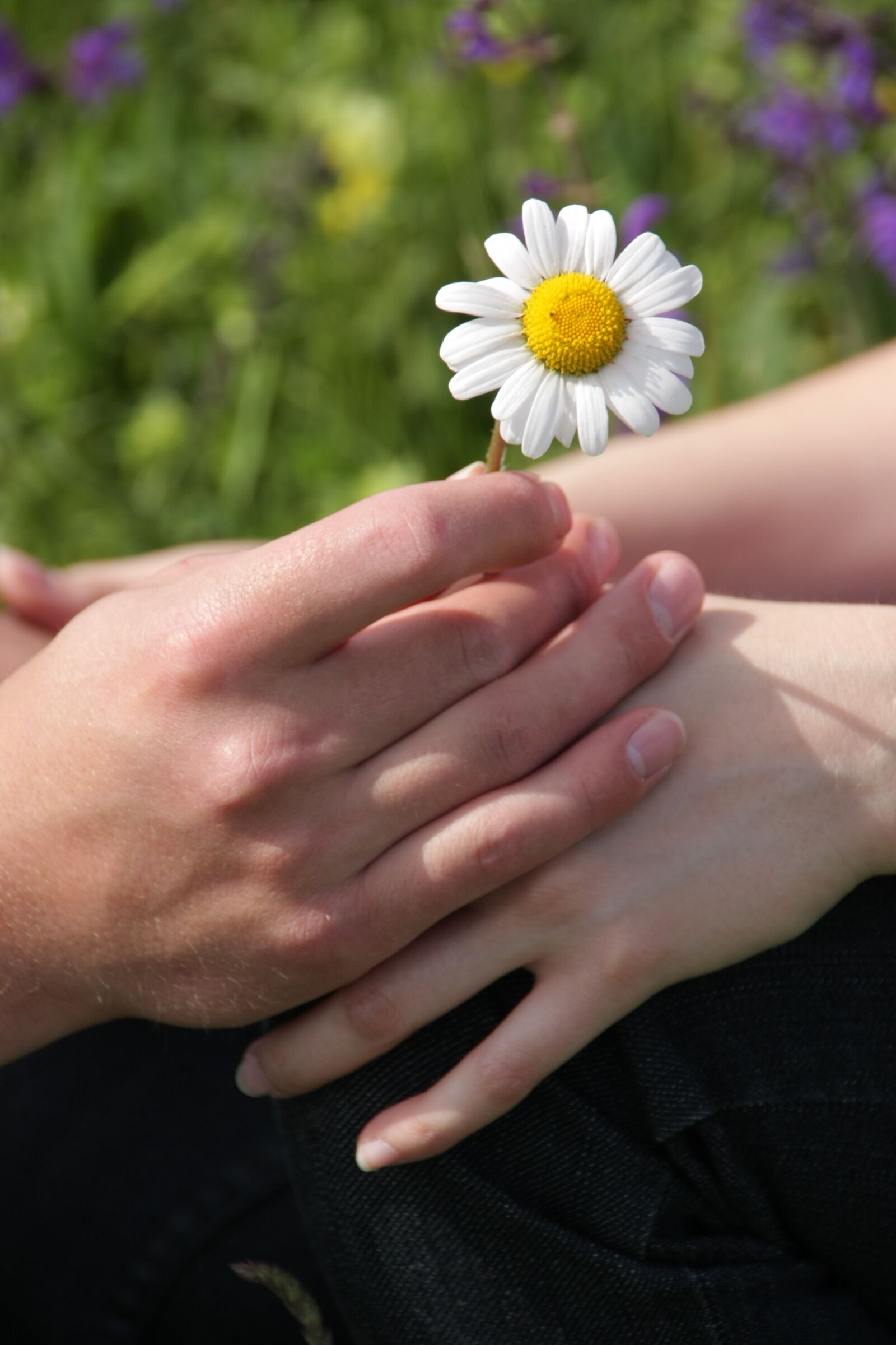 Canon EOS 40D sample photo. Touch, hand, flower photography