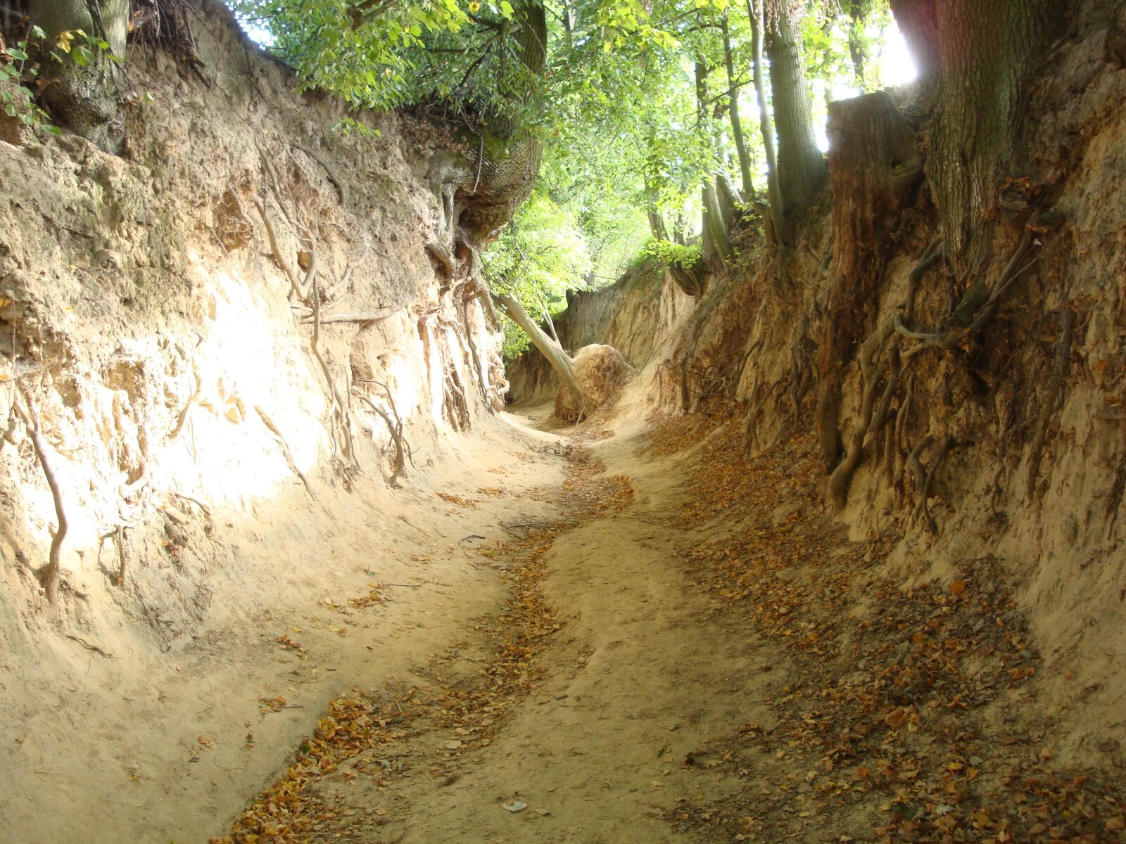Sony Cyber-shot DSC-W170 sample photo. Ravine, nature, landscape photography