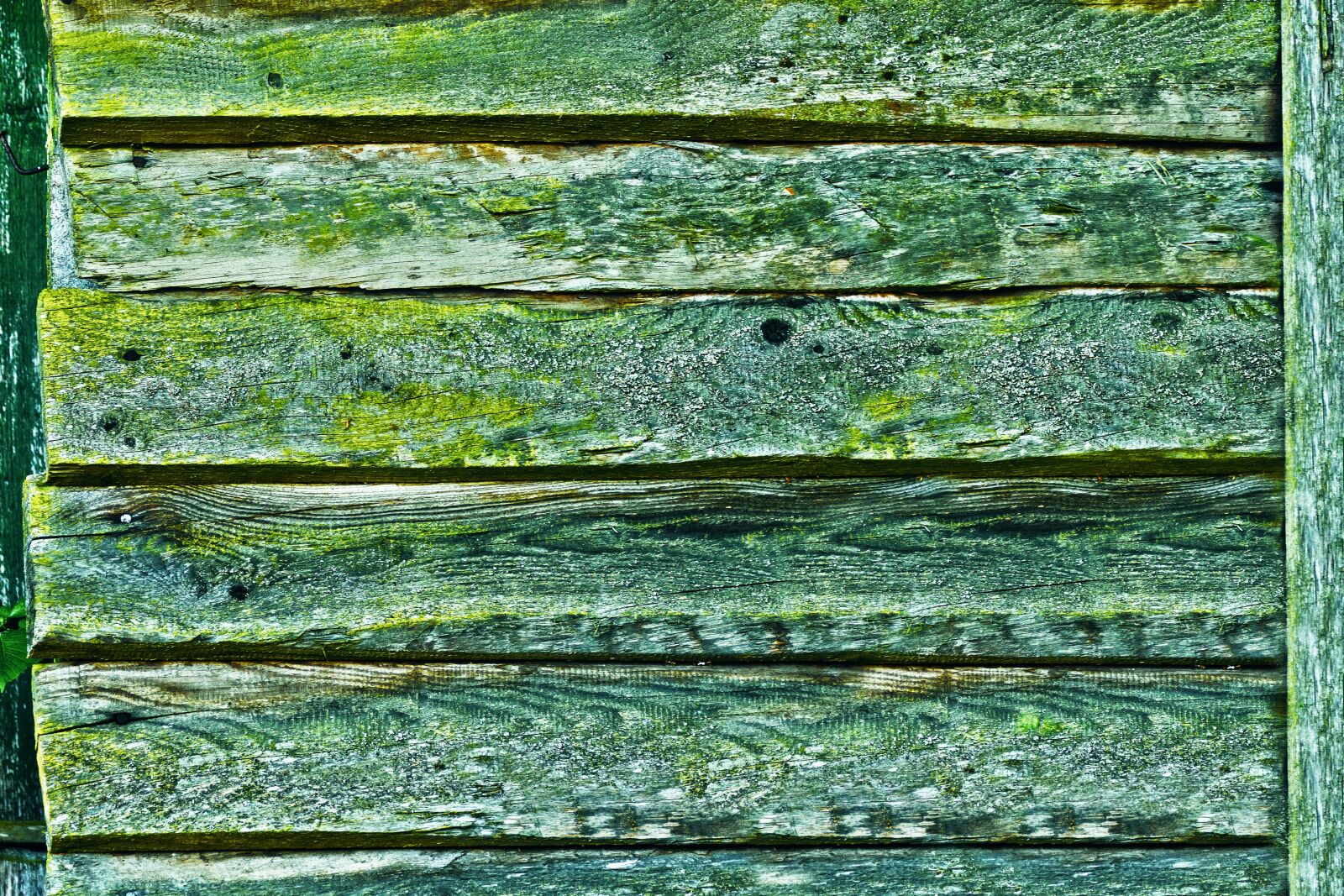 Panasonic Lumix DMC-FZ1000 sample photo. Boards, weave, verdigris photography