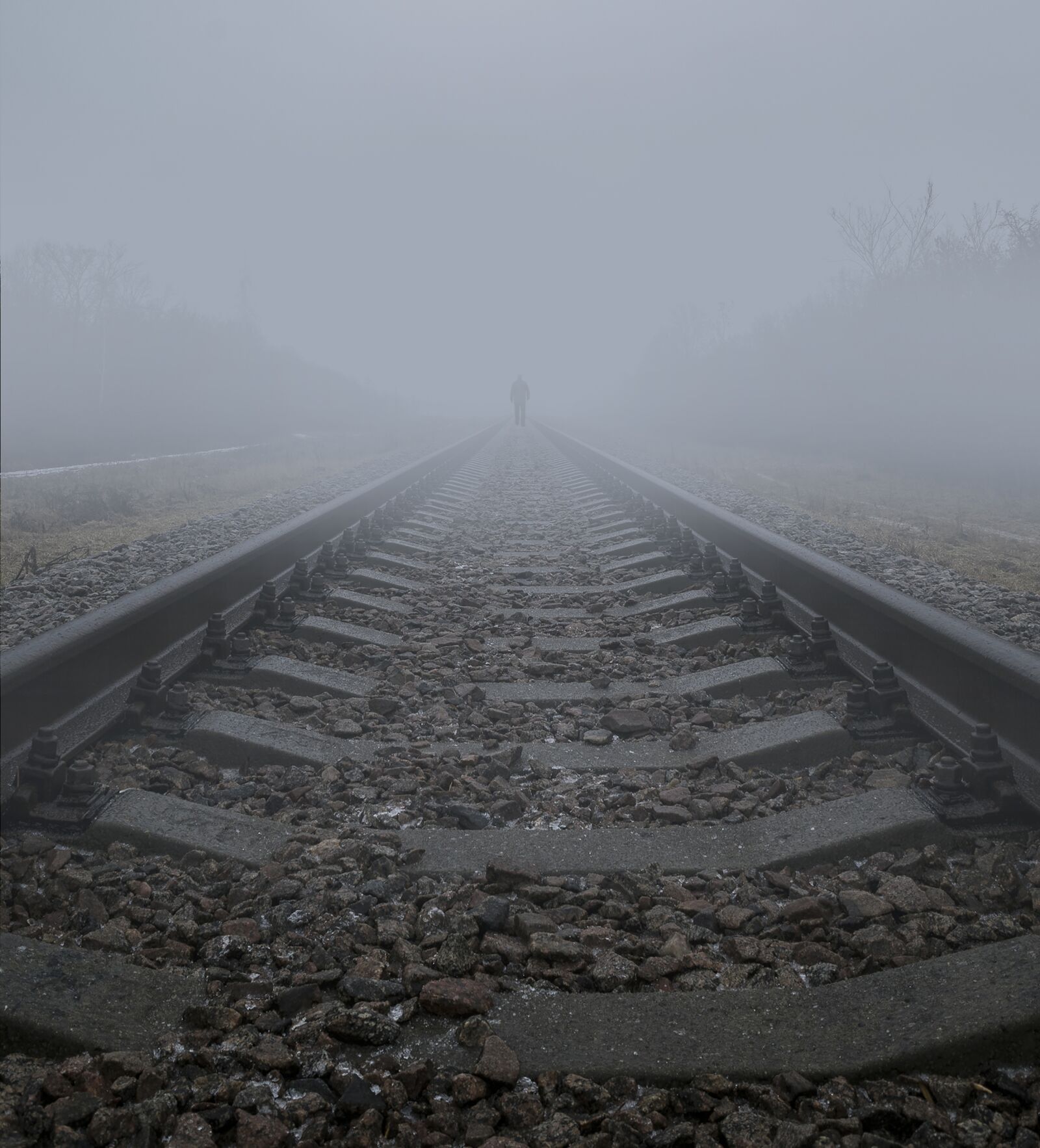 Nikon D3300 sample photo. Fog, railway, december photography