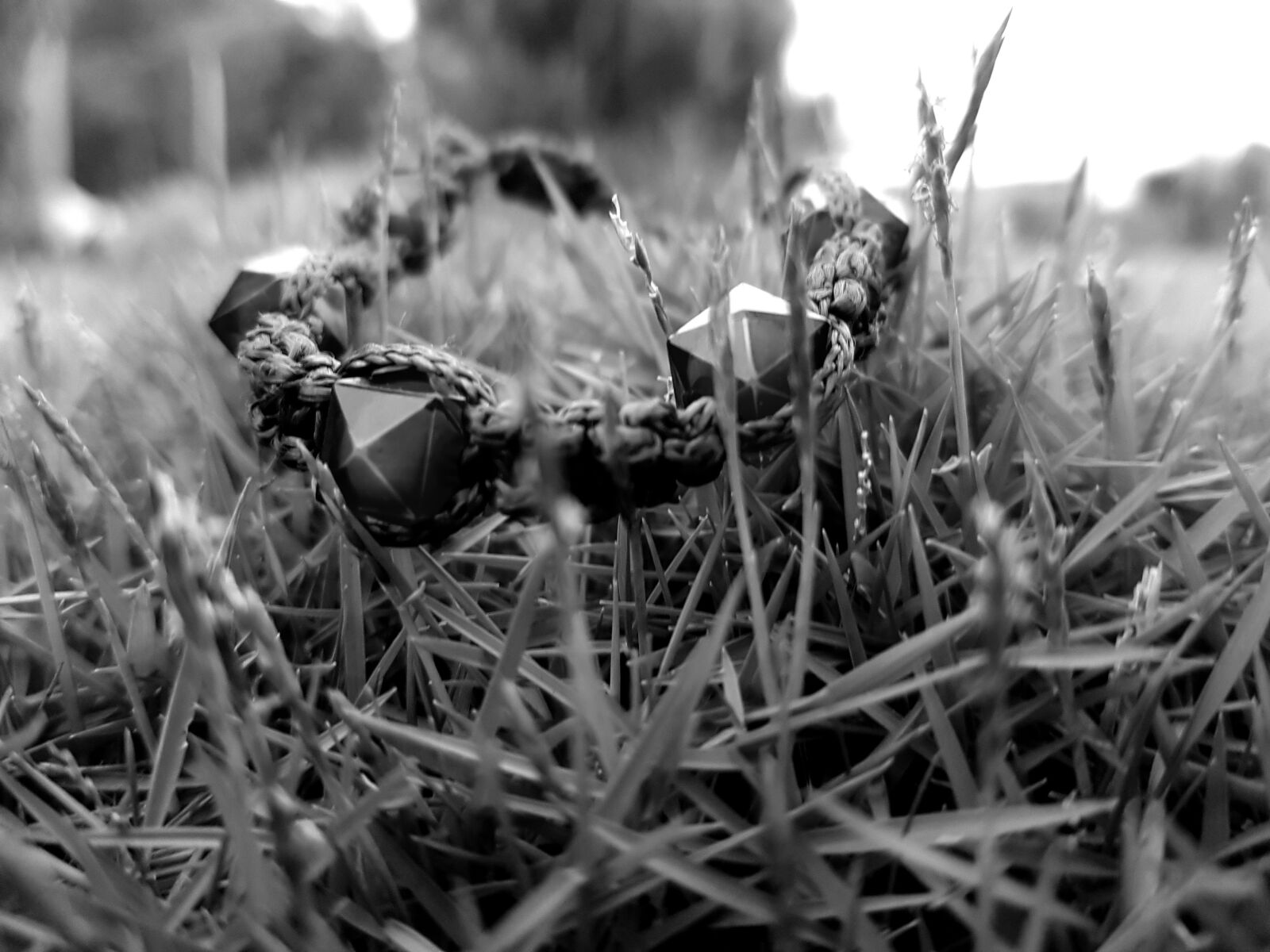 Samsung Galaxy S8 sample photo. Nature, black and white photography