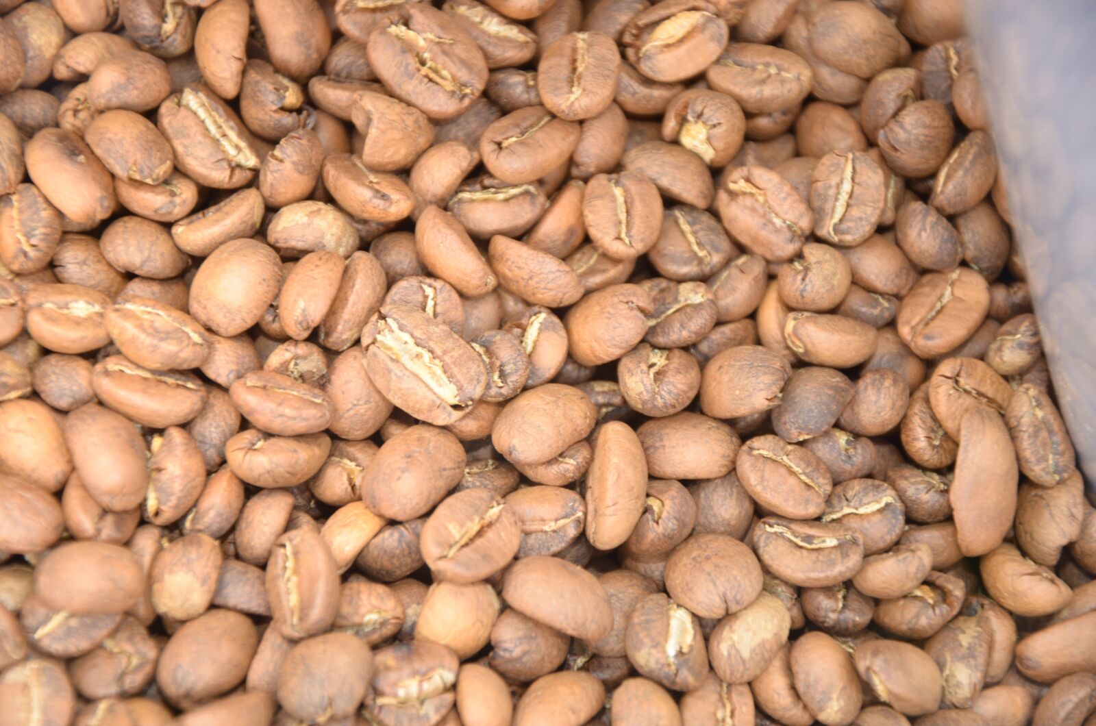 Nikon D7000 sample photo. Coffee, textures, nature photography