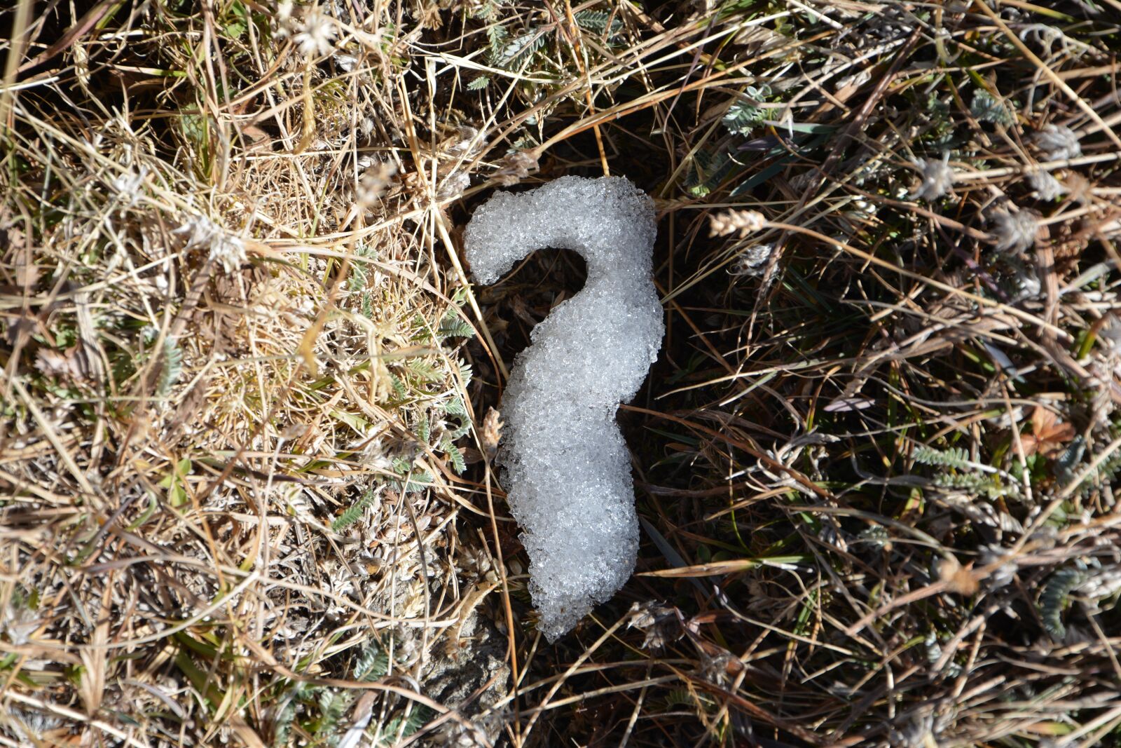 Nikon D7100 sample photo. Snow, winter, snow landscape photography