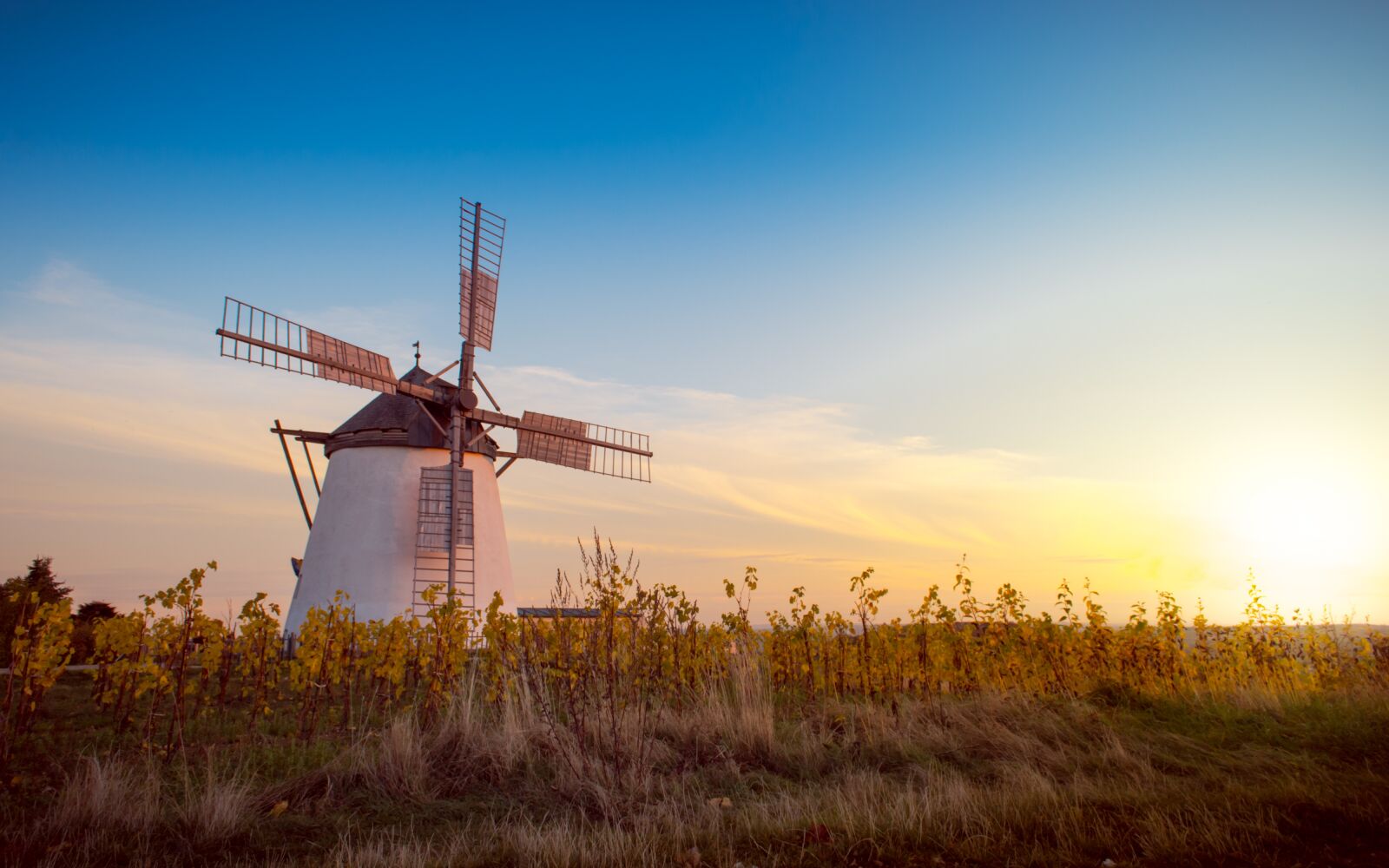 Nikon D3100 sample photo. Mill, field, sun photography