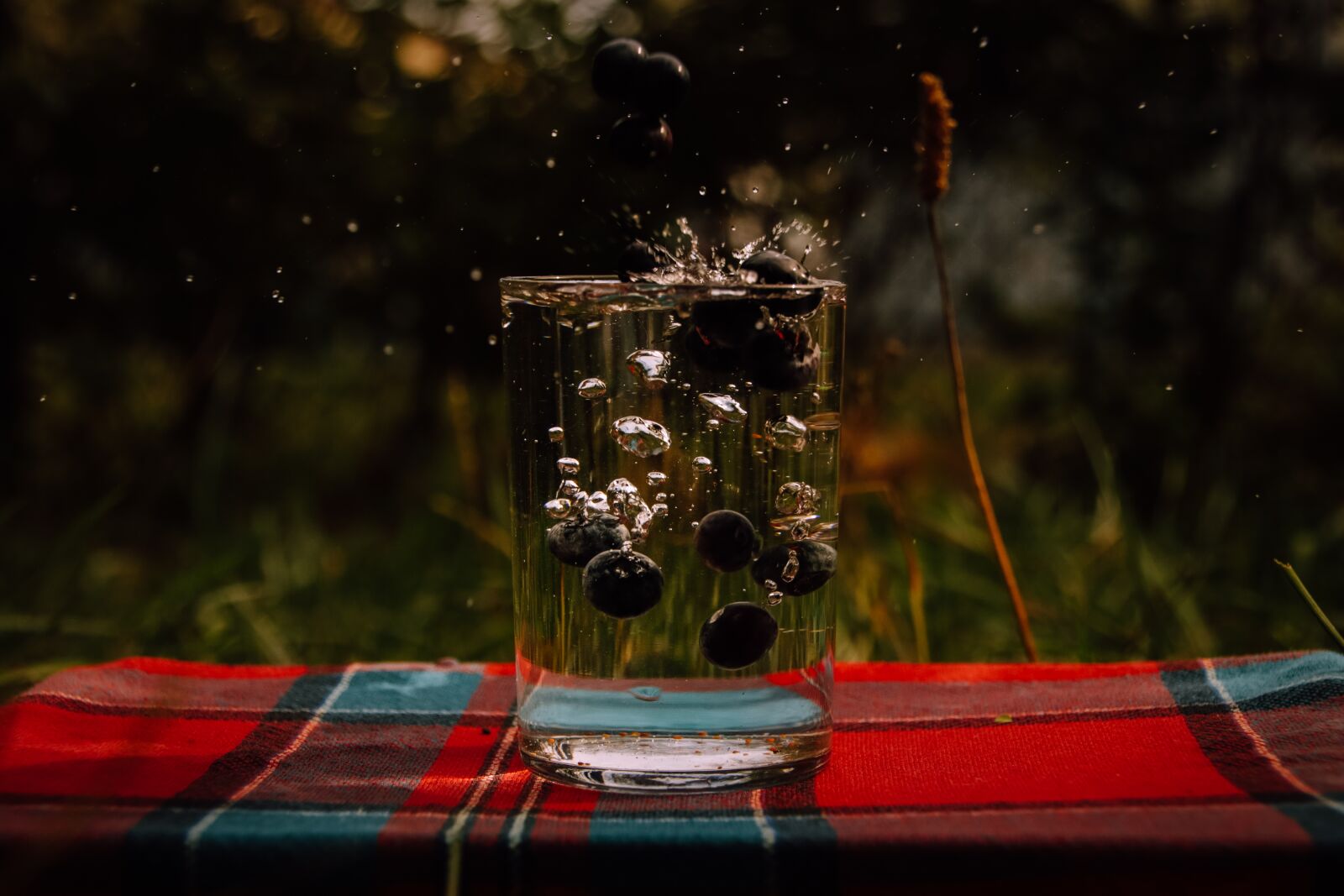 Canon EOS 750D (EOS Rebel T6i / EOS Kiss X8i) sample photo. Water, berries, cup photography