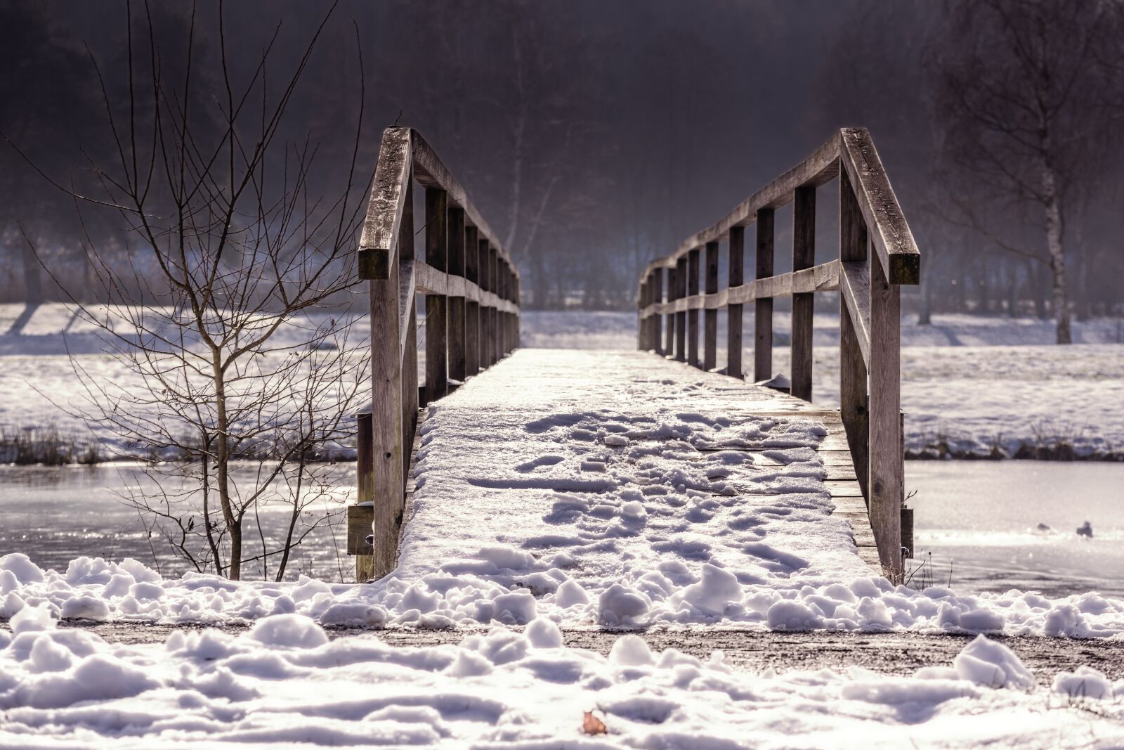 Canon EOS 5D Mark III sample photo. Away, bridge, web photography
