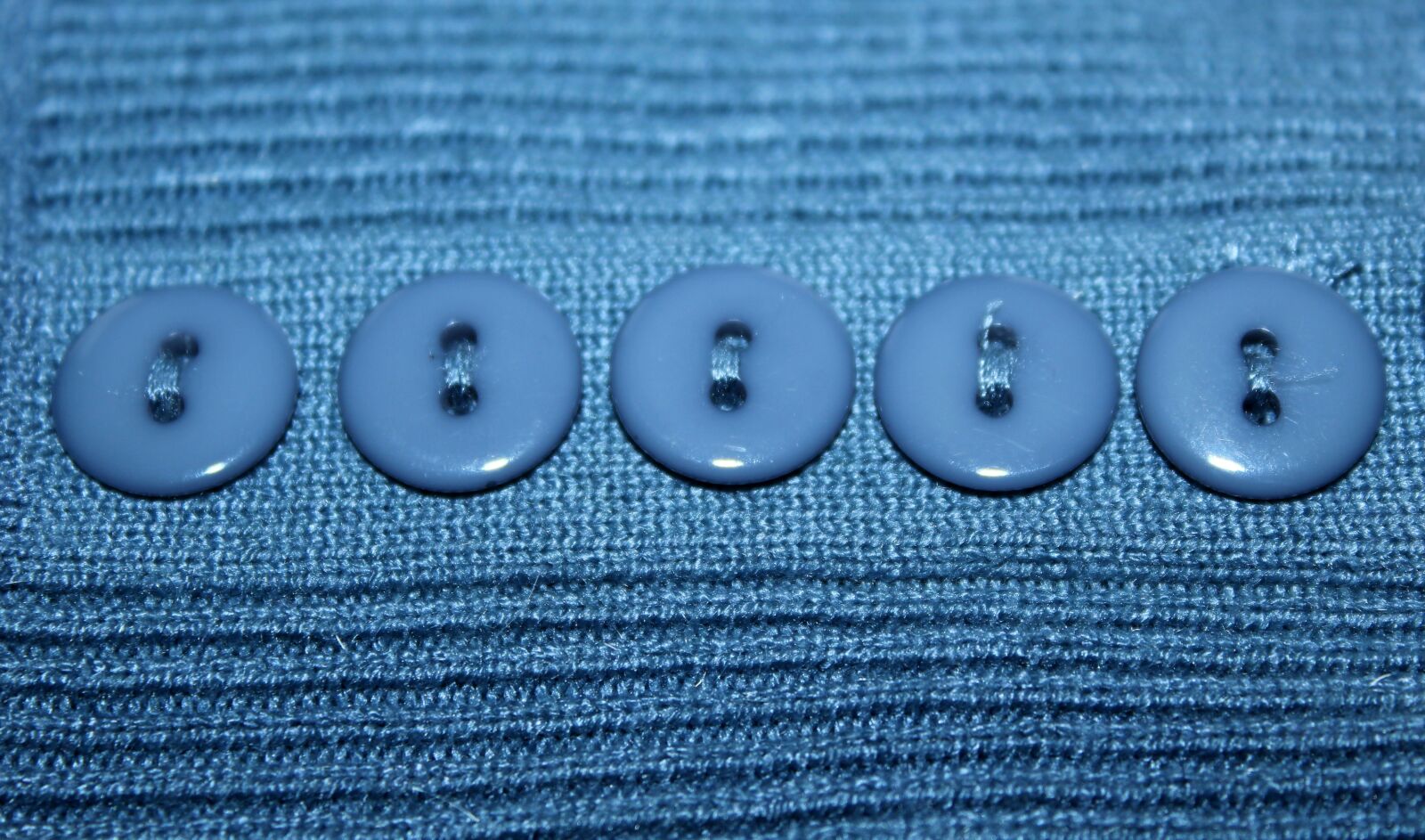 Canon EOS 1200D (EOS Rebel T5 / EOS Kiss X70 / EOS Hi) sample photo. Buttons, sewing, fabric photography