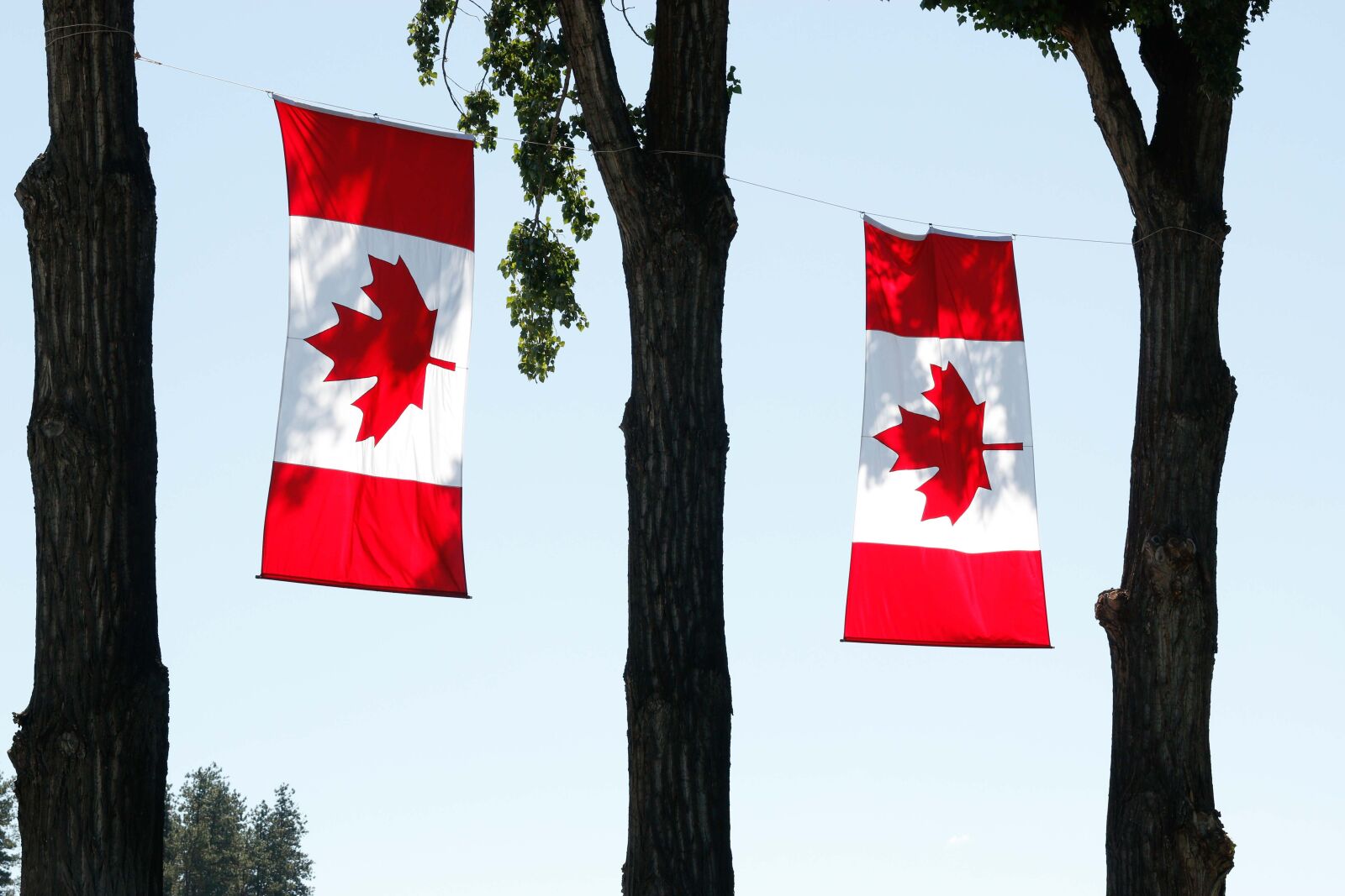 Canon EOS 70D sample photo. Canada day, canada, flag photography