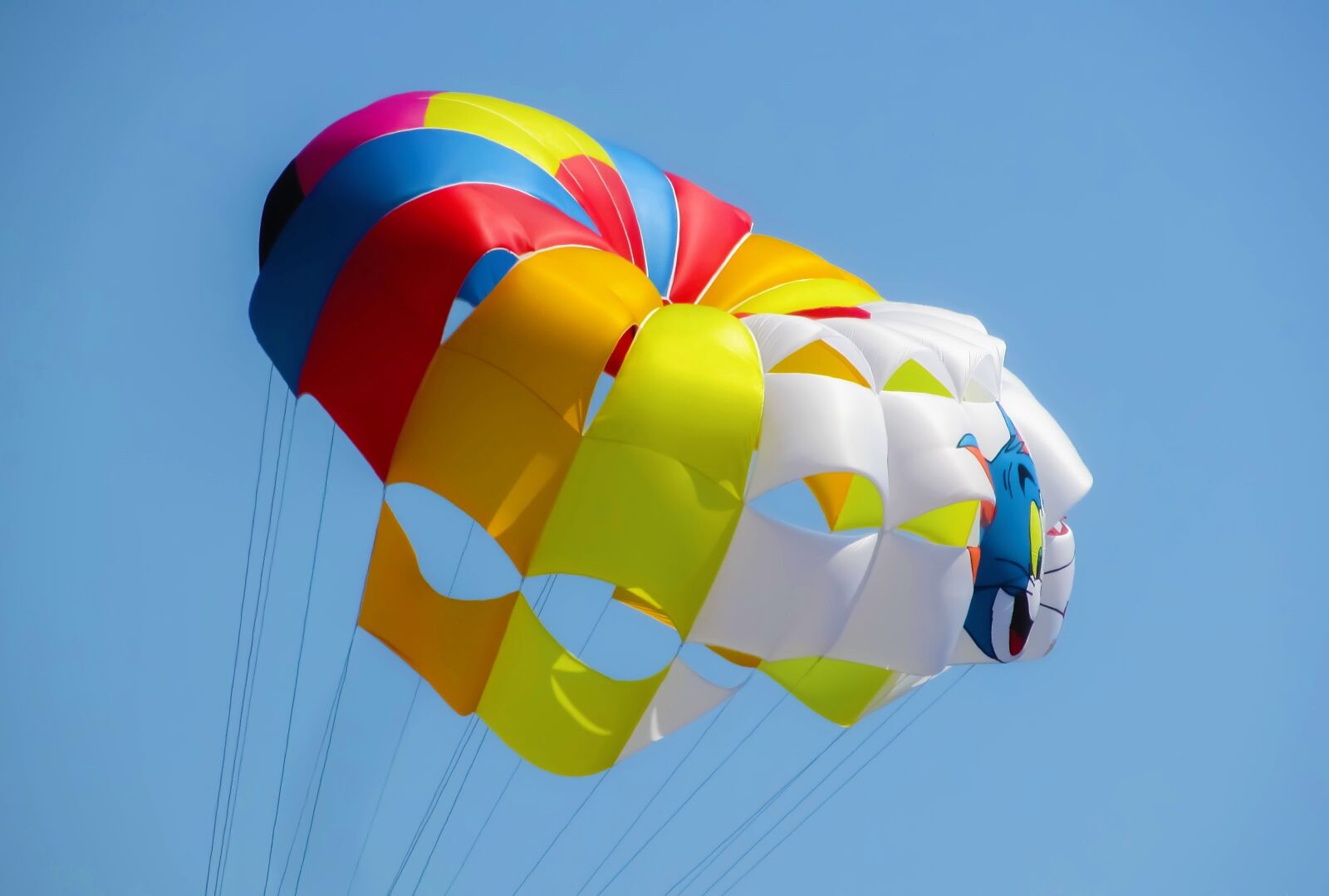 Canon PowerShot SX400 IS sample photo. Parachute, paragliding, balloon photography