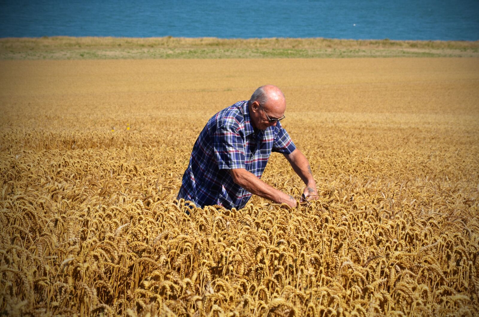 Nikon D5100 sample photo. France, field, landscape photography