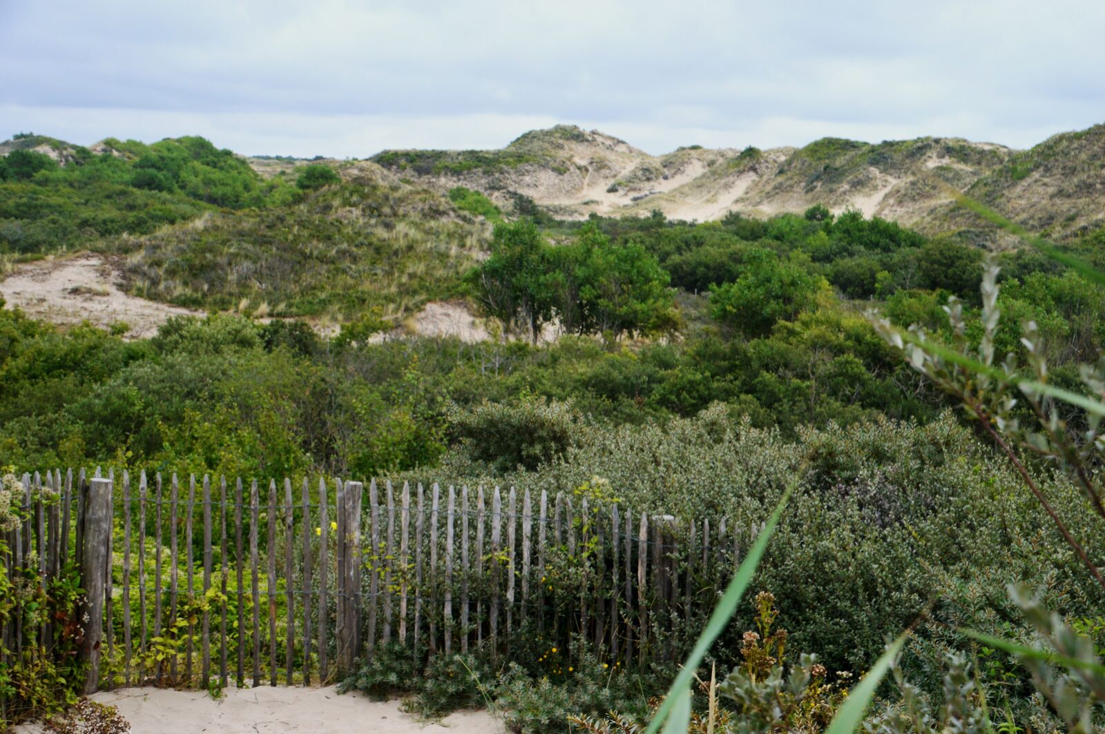 Nikon D3200 sample photo. Sea, beach, stella beach photography