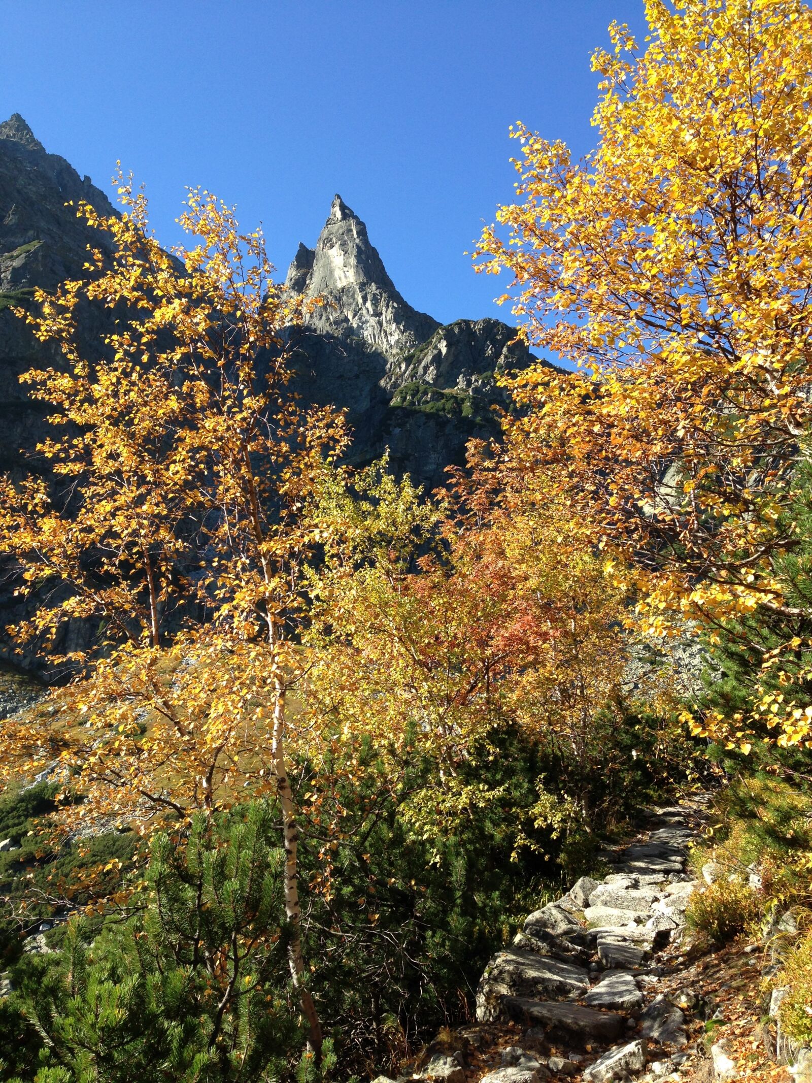 iPhone 5c back camera 4.12mm f/2.4 sample photo. Tatry, mountains, autumn photography