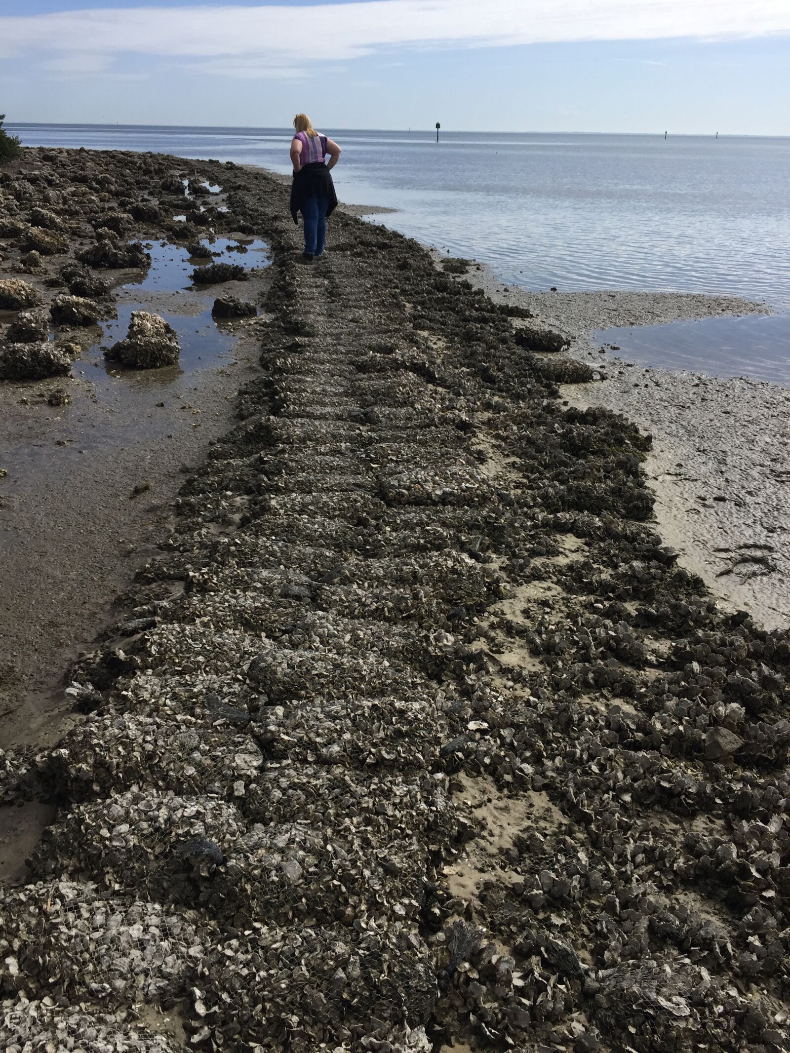 Apple iPhone 6 sample photo. Beach, seashore, ocean photography