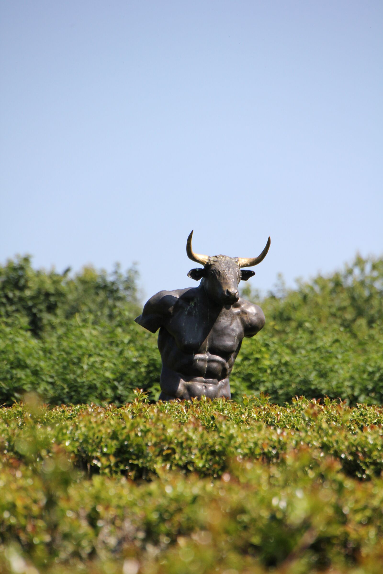 Canon EOS 550D (EOS Rebel T2i / EOS Kiss X4) sample photo. Labyrinth, minotaur, bust photography