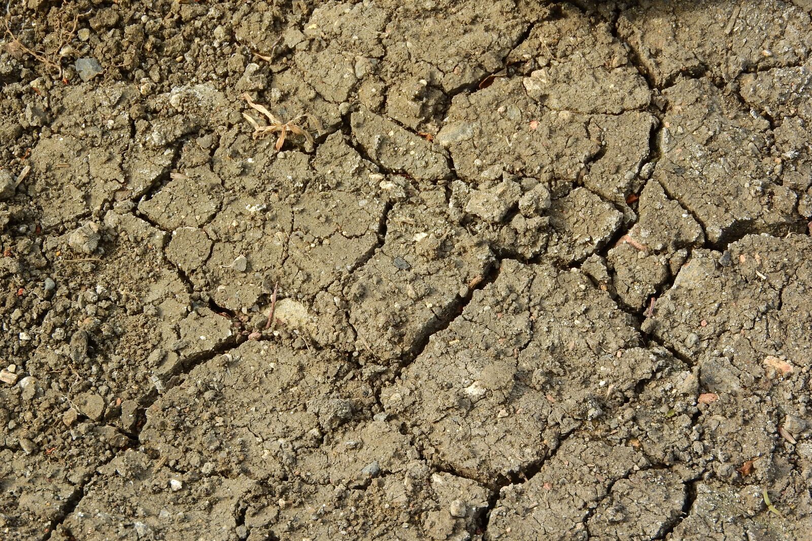 Nikon Coolpix P610 sample photo. Cracked earth, drought, dry photography