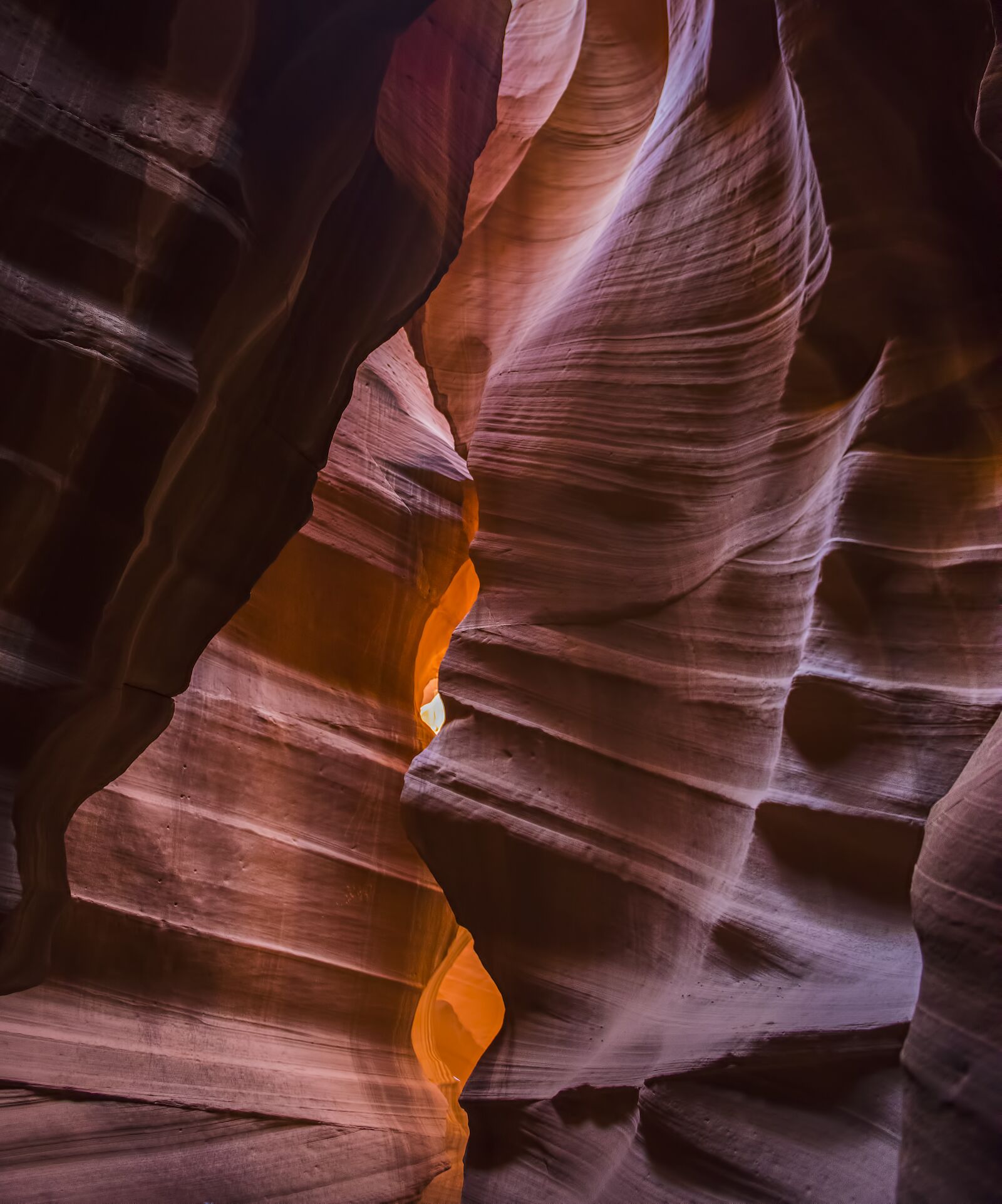 Nikon D810 sample photo. Grand canyon, antelope canyon photography