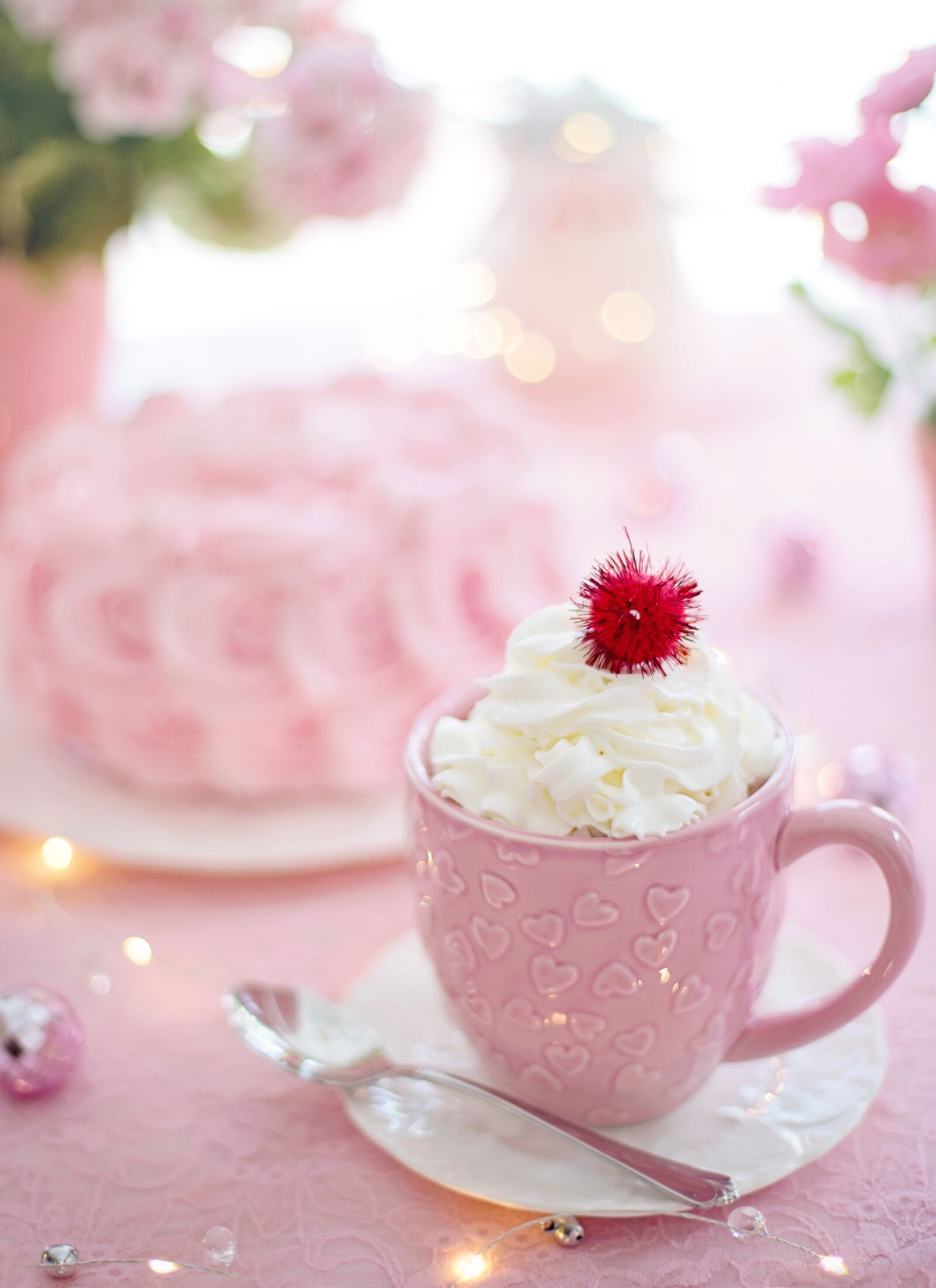 Canon EF 50mm F1.4 USM sample photo. Valentine, valentine's day, hearts photography