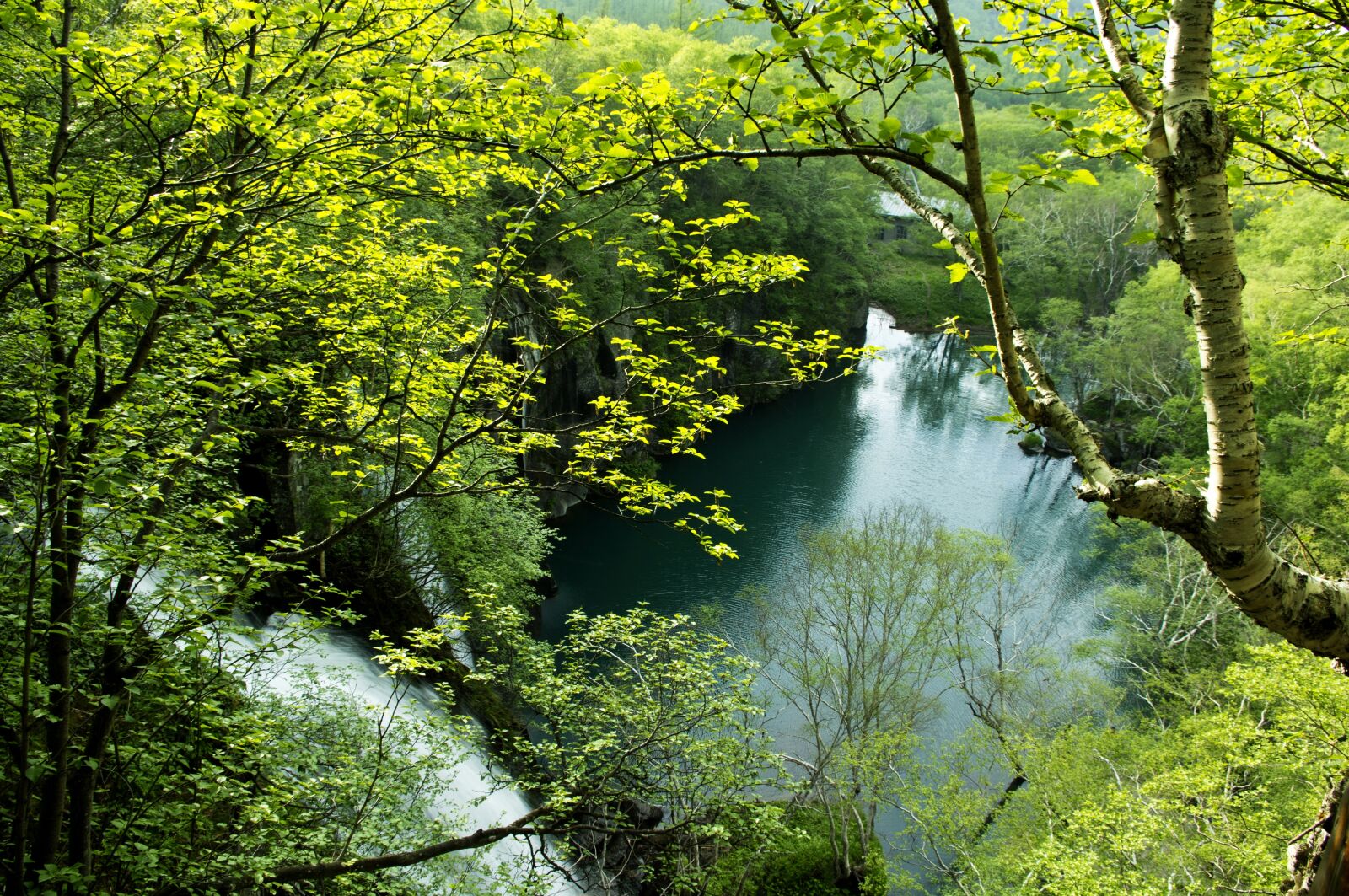 smc PENTAX-DA L 18-55mm F3.5-5.6 sample photo. Green deep lake, green photography