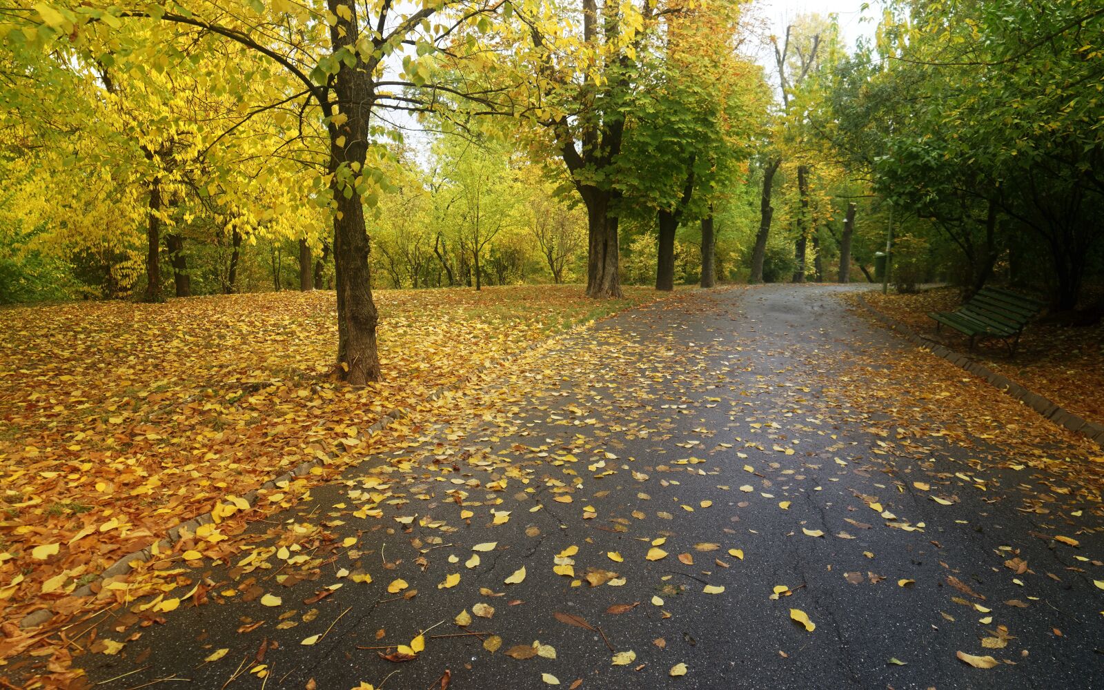 Nikon D5300 sample photo. Landscape, nature, autumn photography