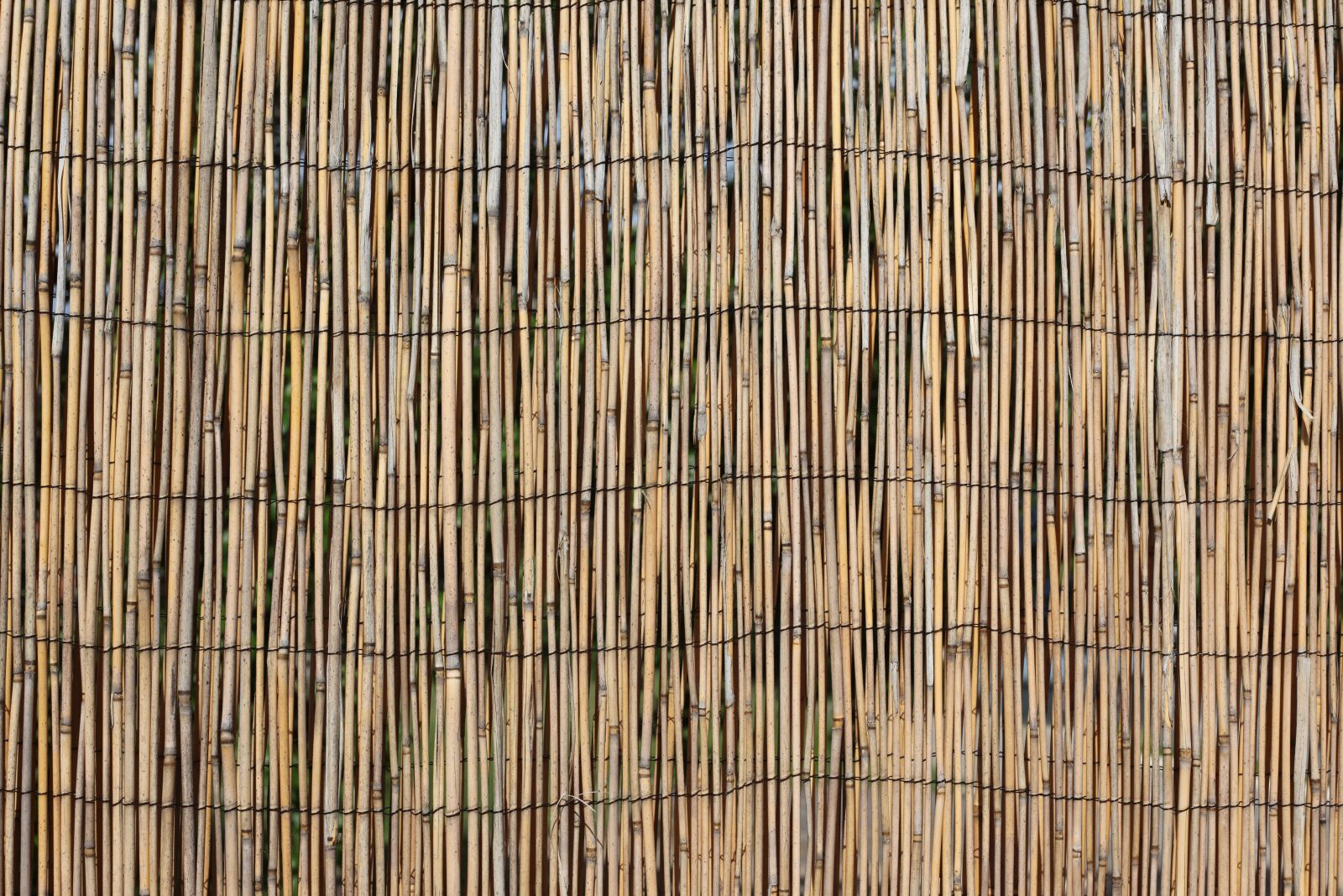 Canon EOS 5D Mark II sample photo. Wall, divider, hawaii photography