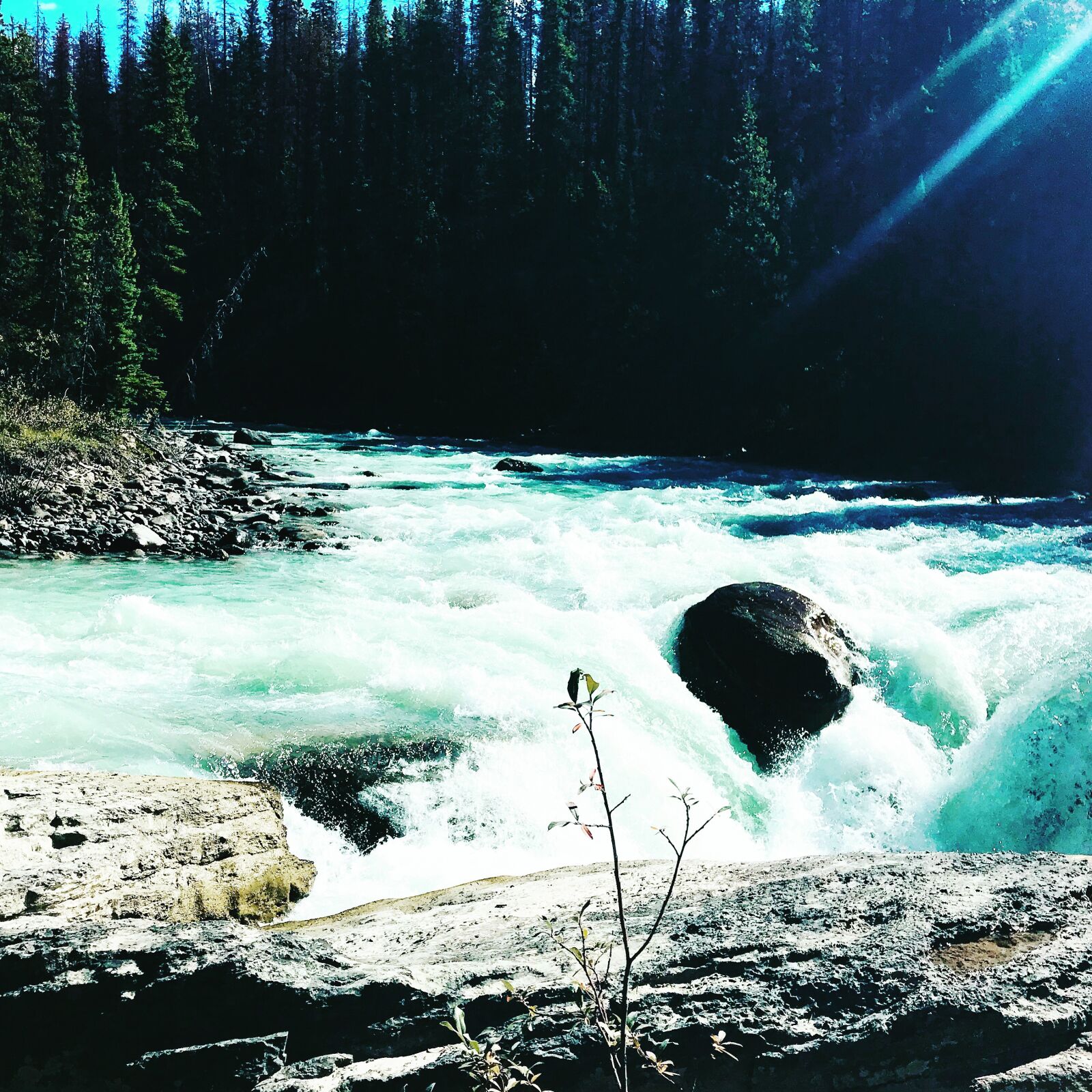 iPhone 7 back camera 3.99mm f/1.8 sample photo. Canada, river, banff photography