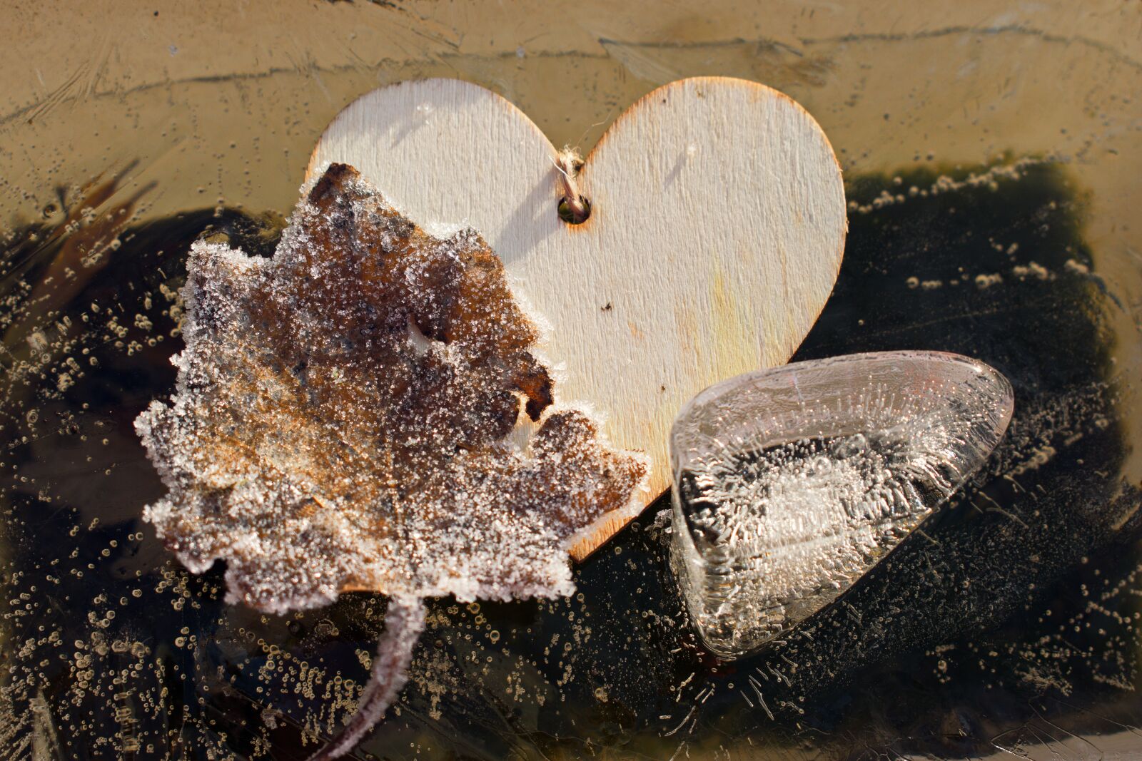 Nikon D3300 sample photo. Wood heart, ice, cold photography