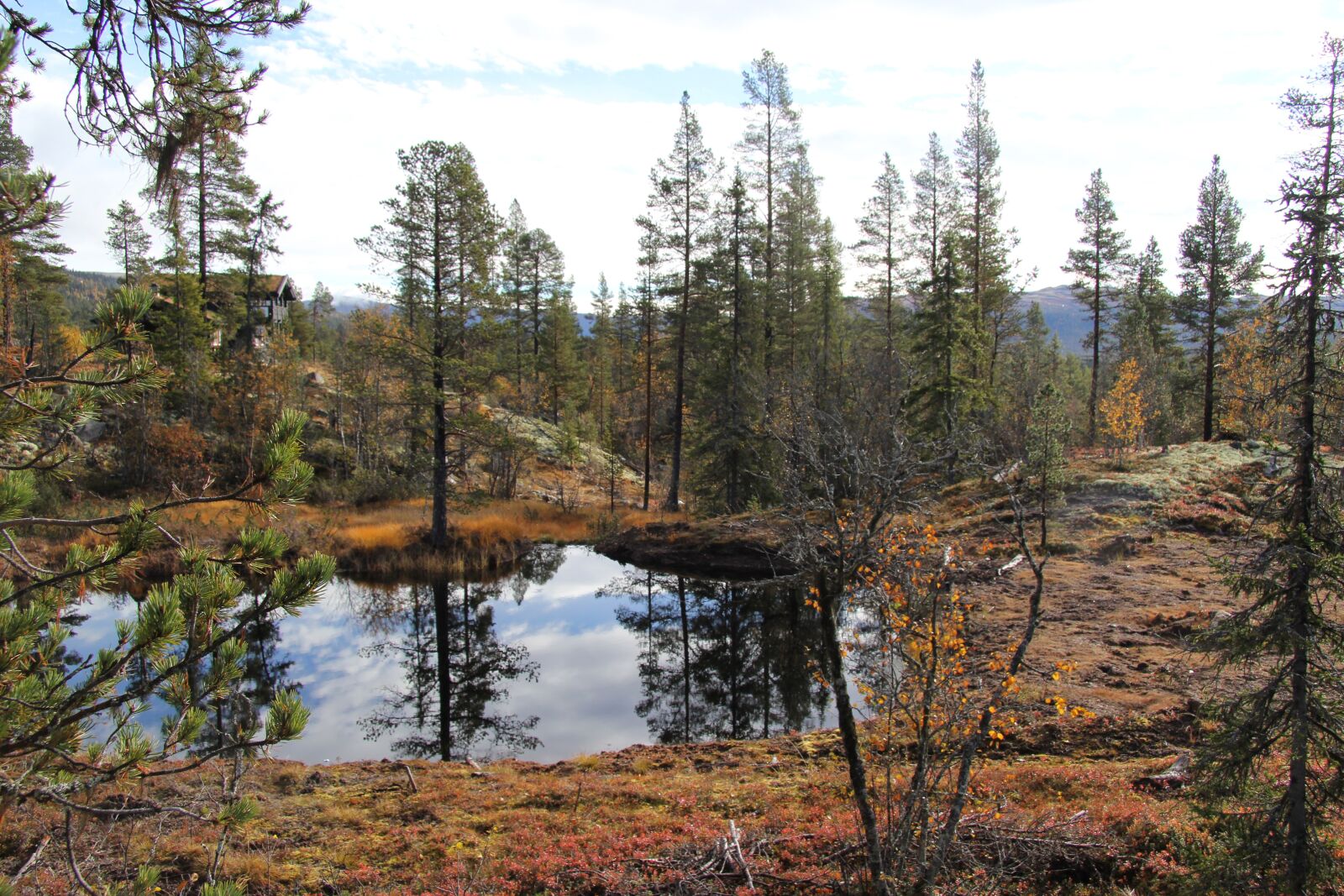 Canon EF-S 17-85mm F4-5.6 IS USM sample photo. Autumn, telemark norway, tindefjell photography